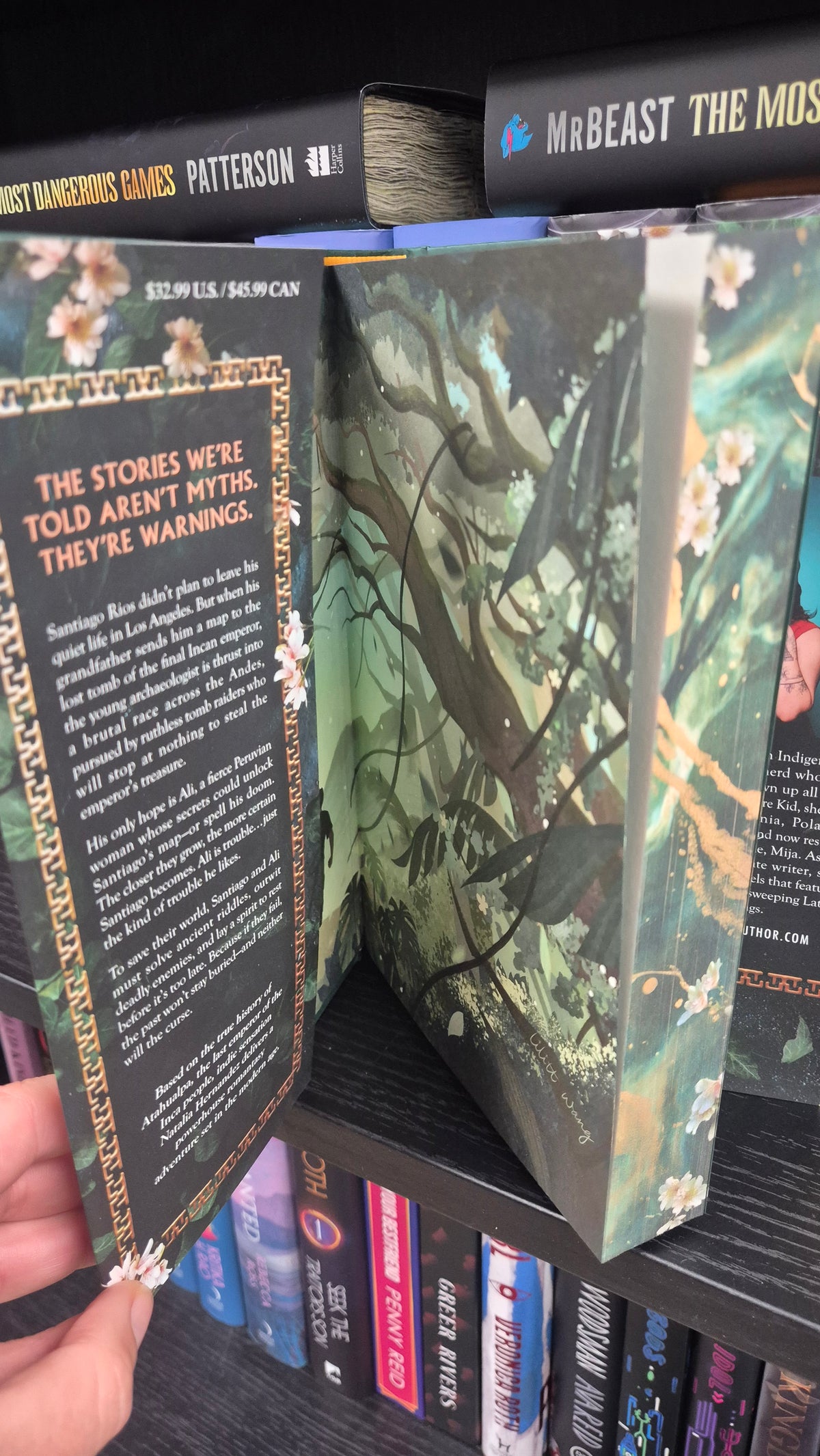 The Lost Guardian – Natalia Hernandez | US Deluxe Limited Edition Hardback | Illustrated Edges | Brand New
