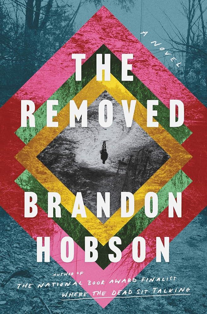 The Removed: A Novel cover image