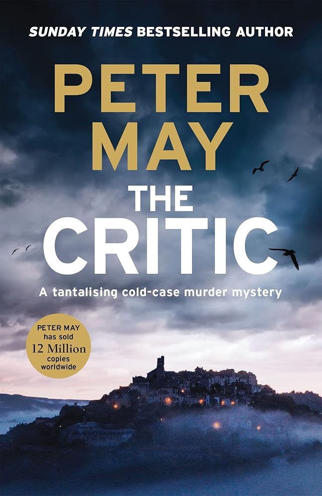 The Critic: A tantalising cold-case murder mystery (The Enzo Files Book 2) cover image