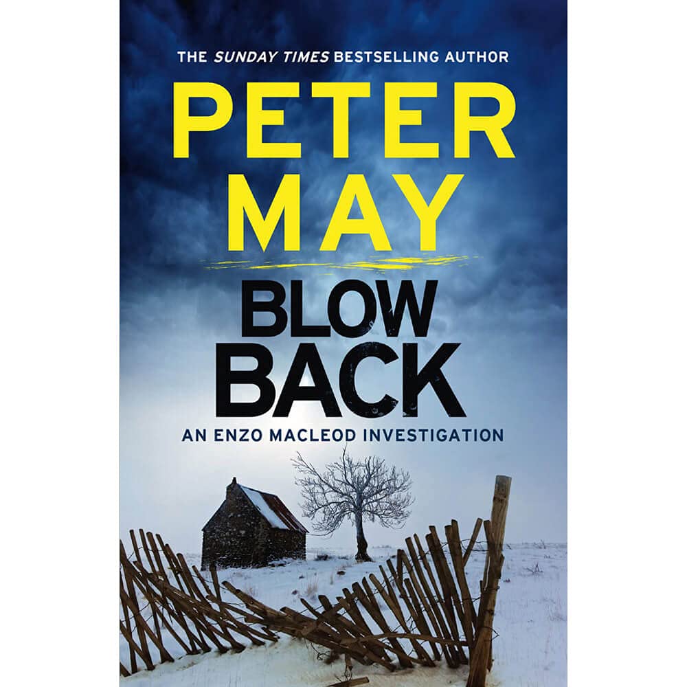 Blowback cover image