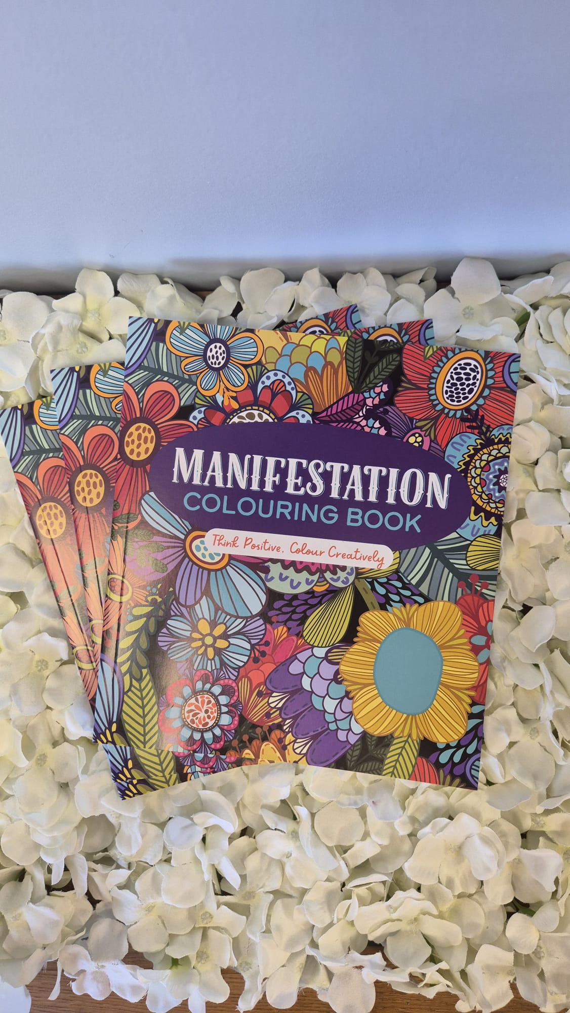 Manifestation Colouring Book + 4 Acrylic Markers Cozy Colouring Bookish Books