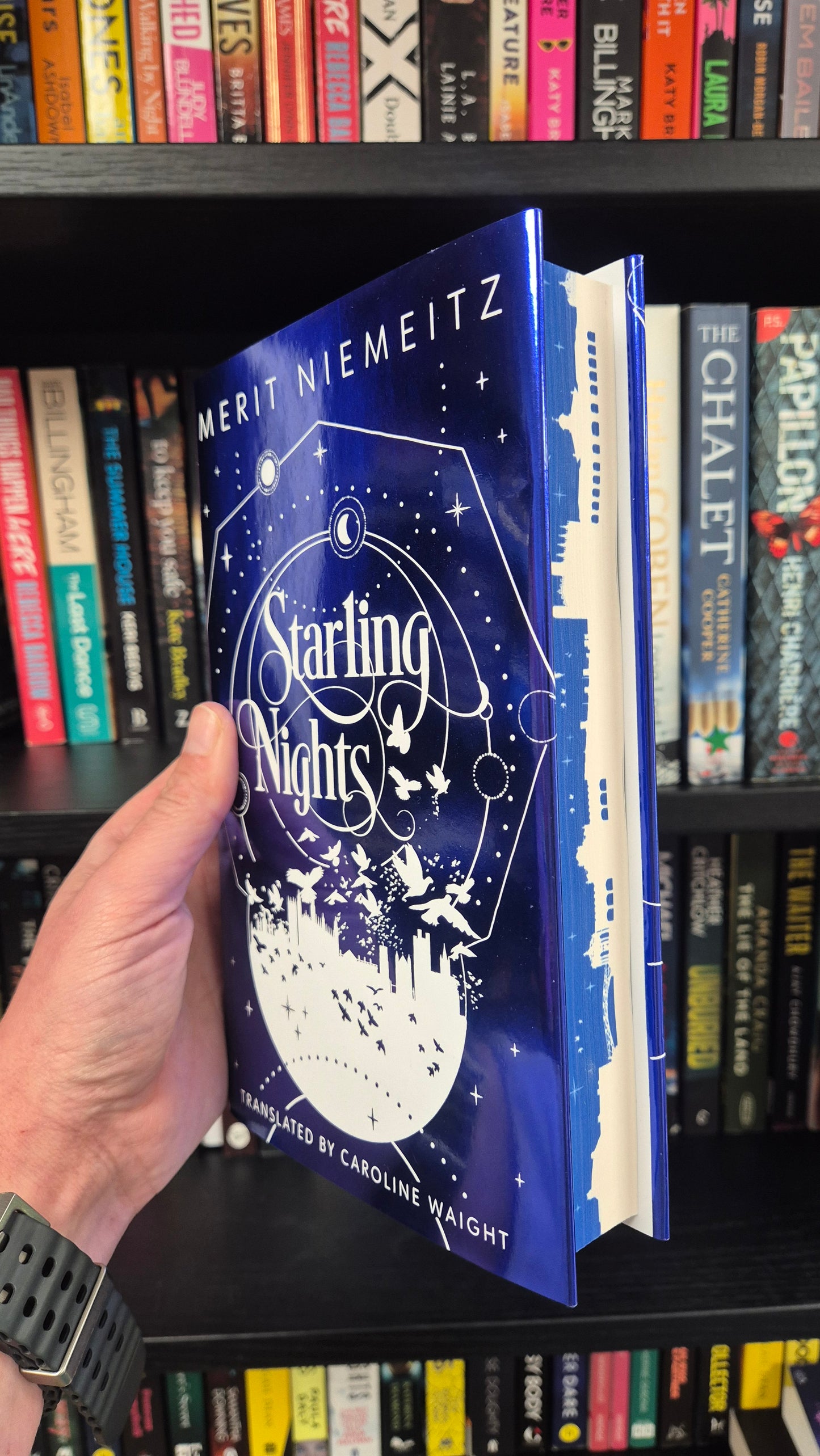 Starling Nights - Merit Niemeitz