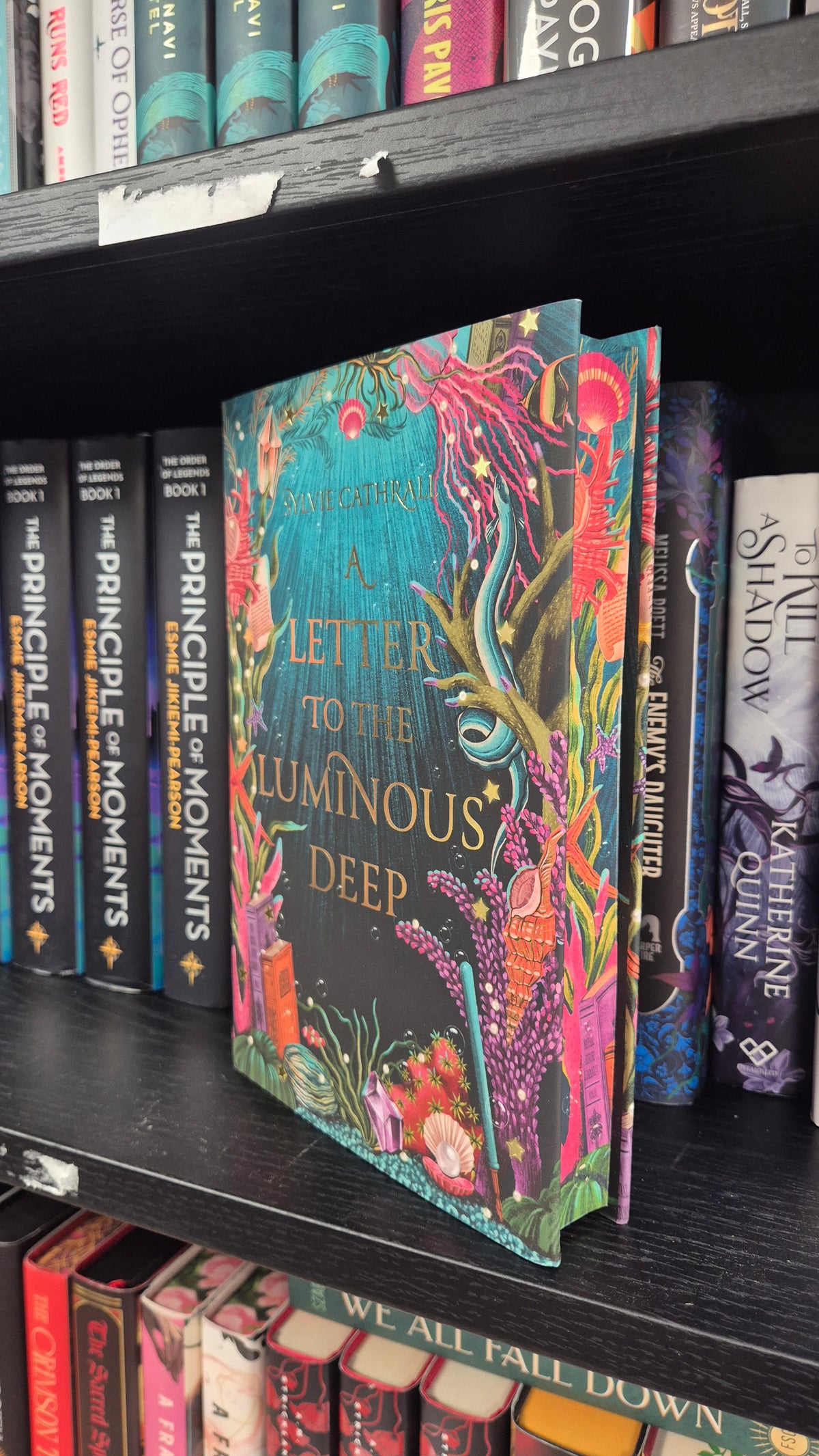 A Letter To The Luminous Deep | Sylvie Cathrall | Fairyloot