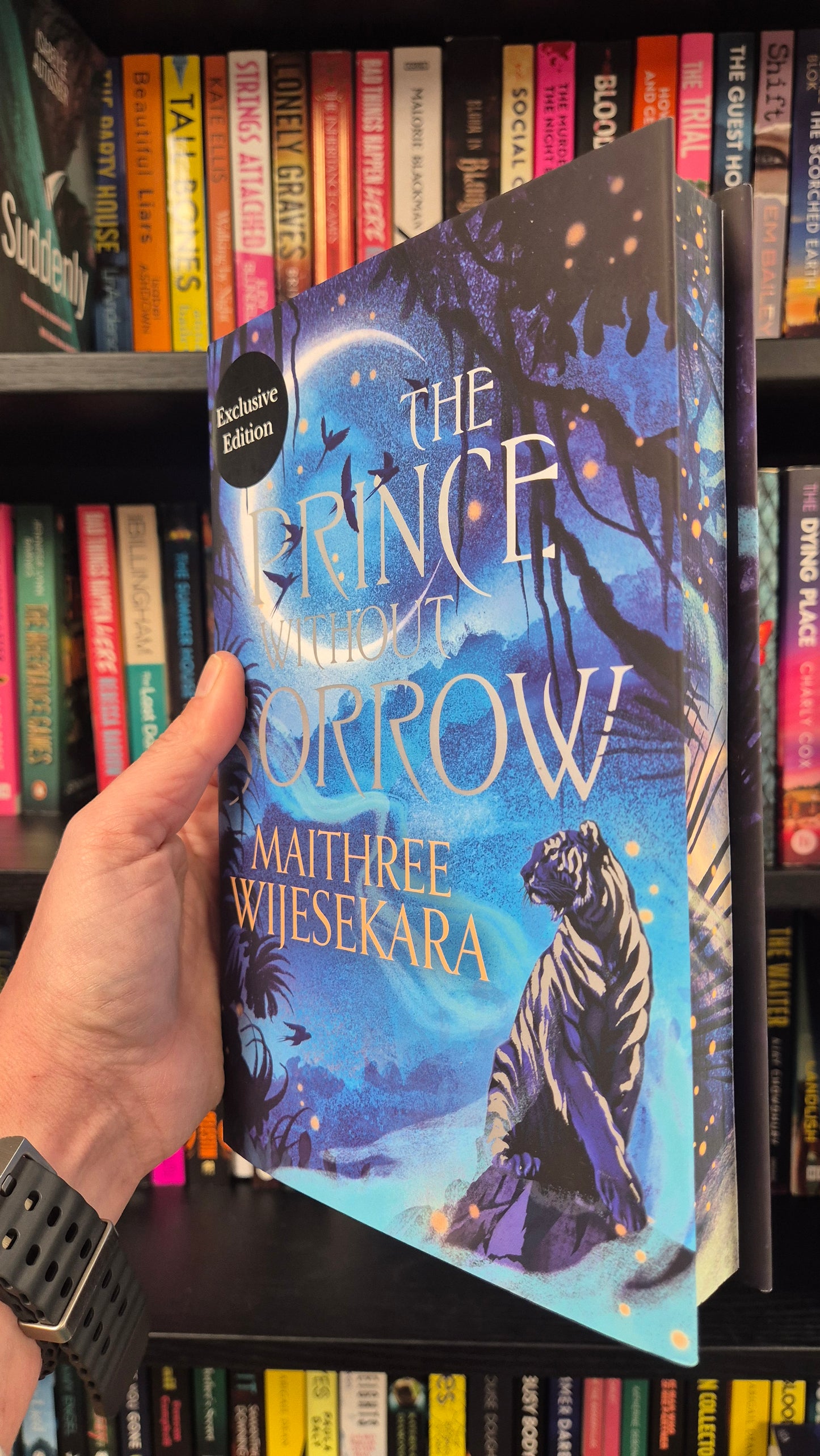 The Prince Without Sorrow - Maithree Wijesekara