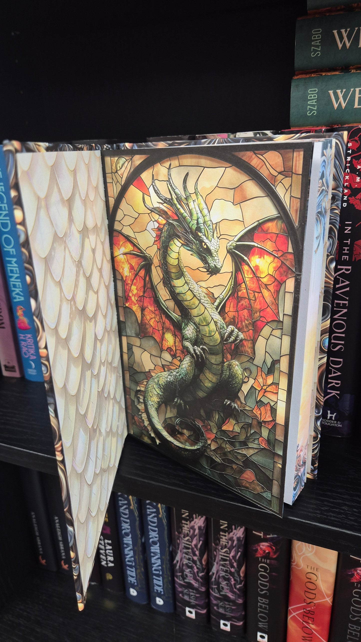 Dragon Meridians | Amy Campbell