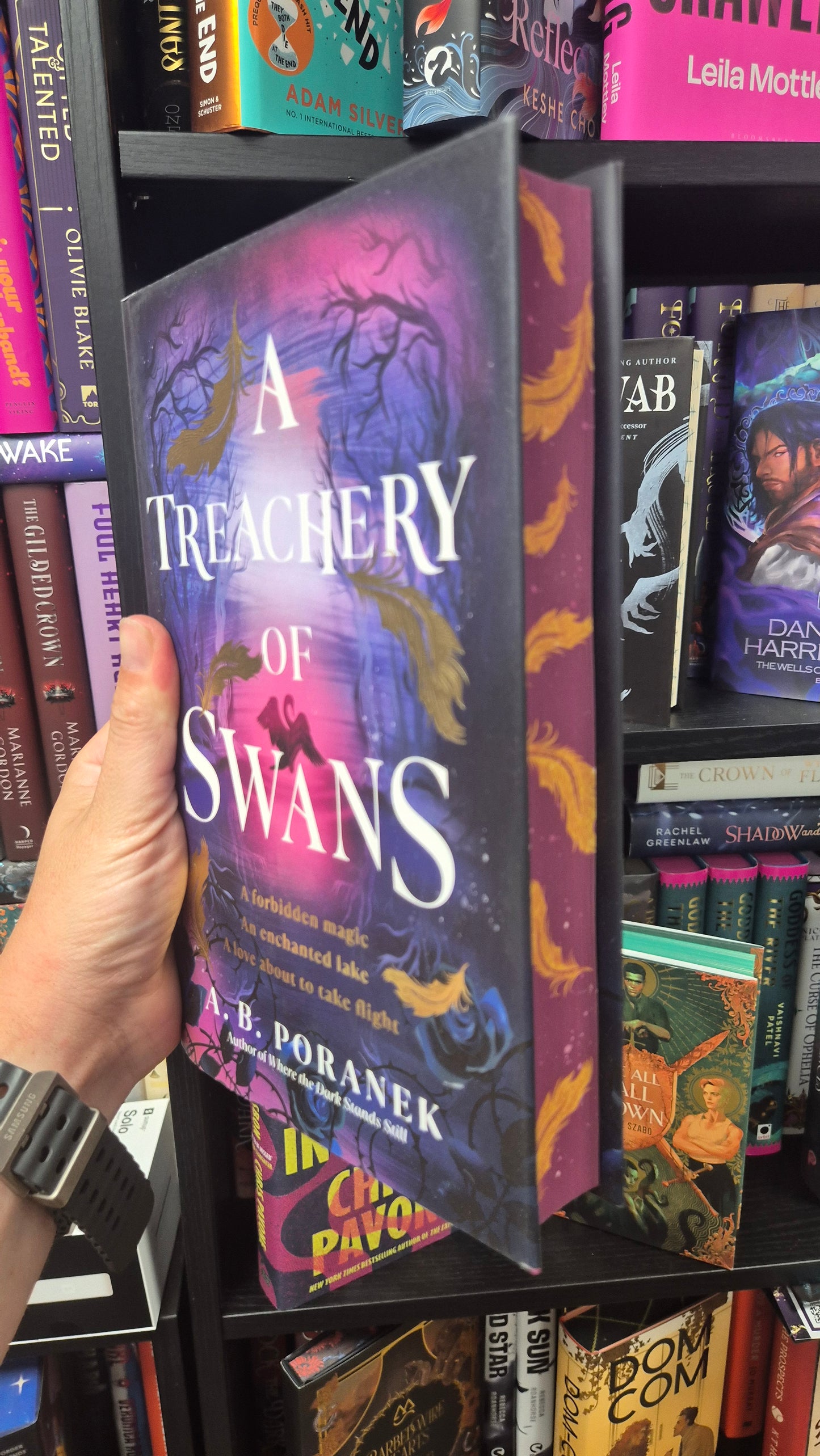 A Treachery Of Swans - A B Poranek