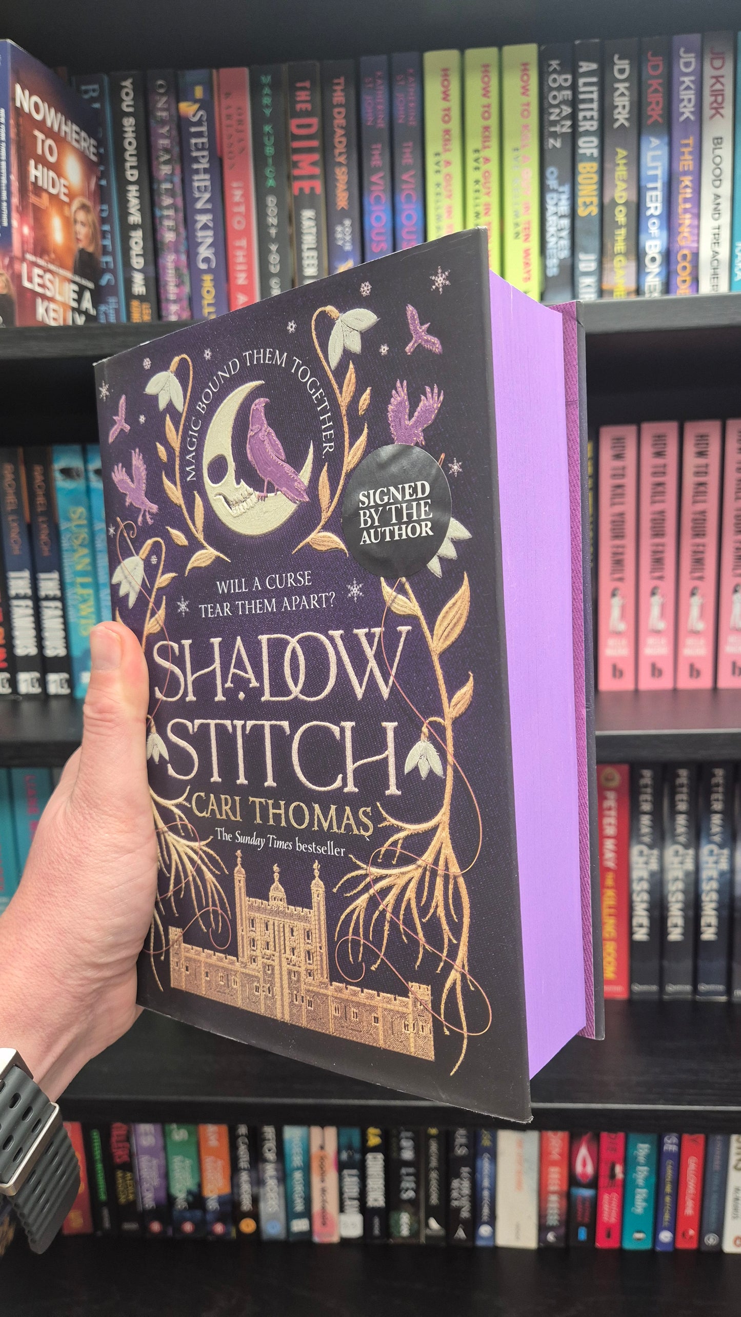 Shadowstitch: Book 2