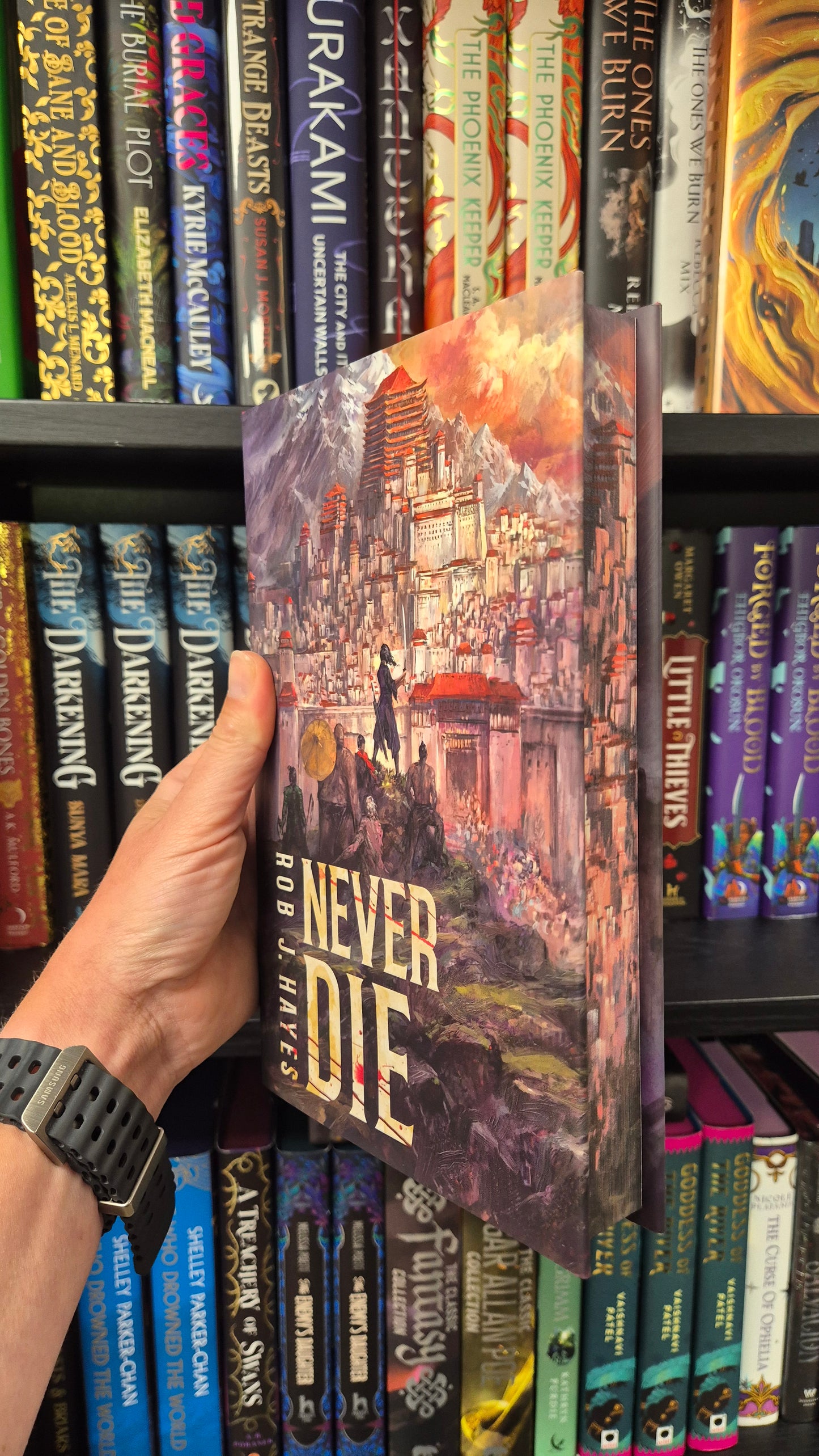 Never Die - Rob J Hayes