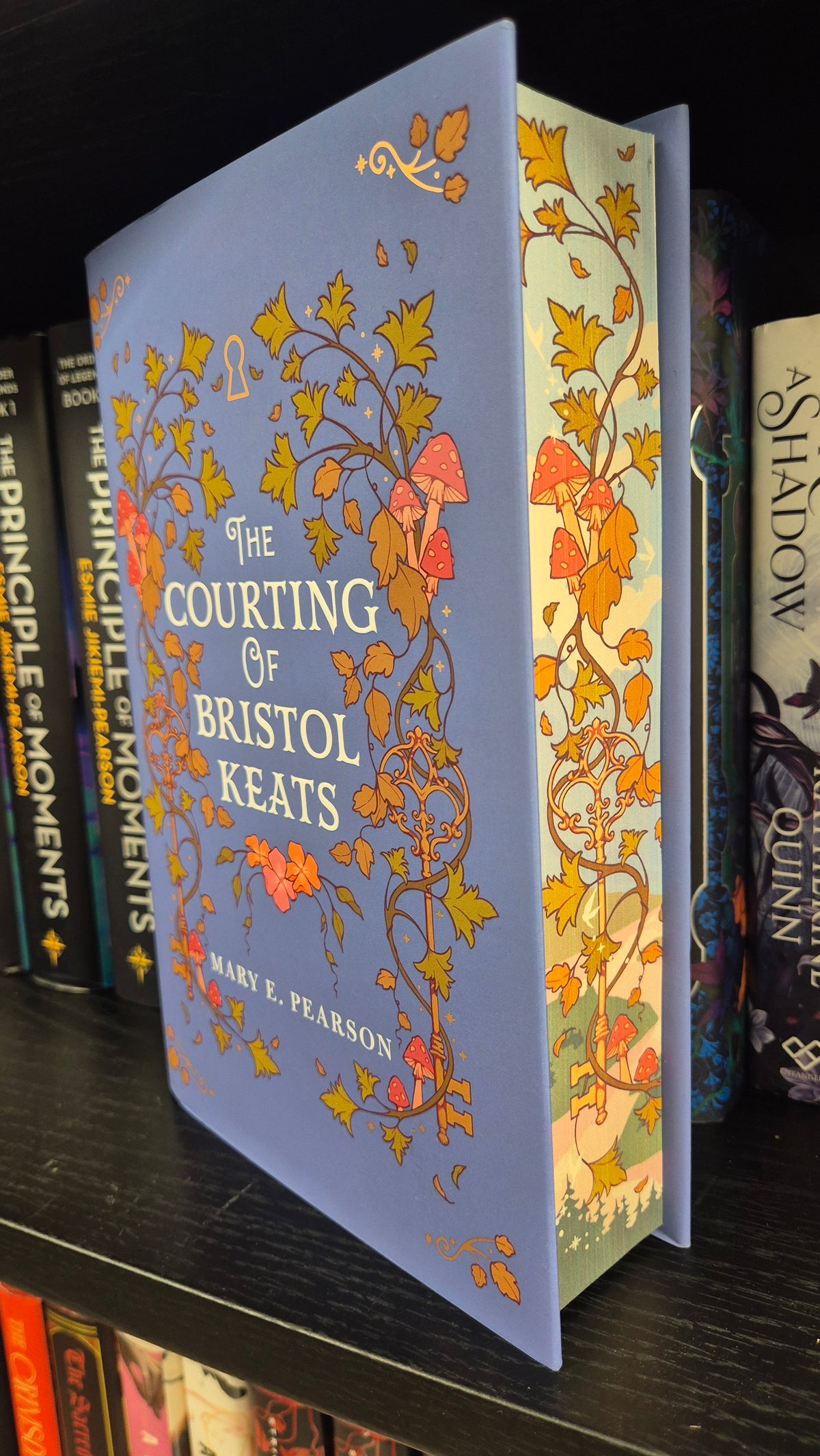 The Courting of Bristol Keats | Mary E Pearson | Fairyloot