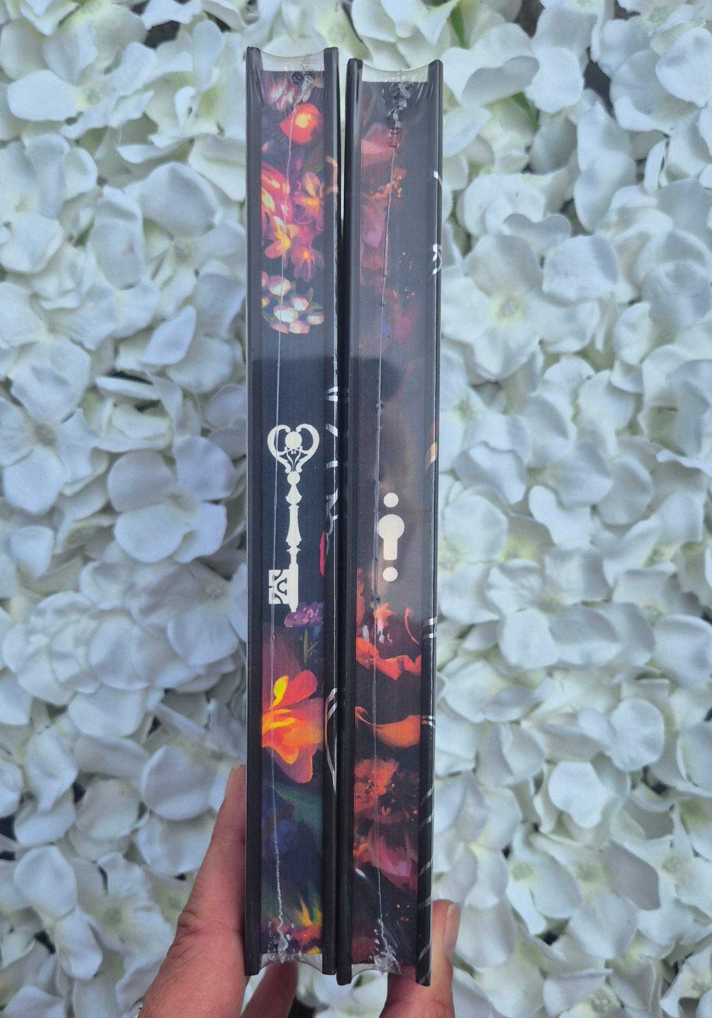 Chained Hands | Locked Hearts | T L Smith | Mystic Box Editions