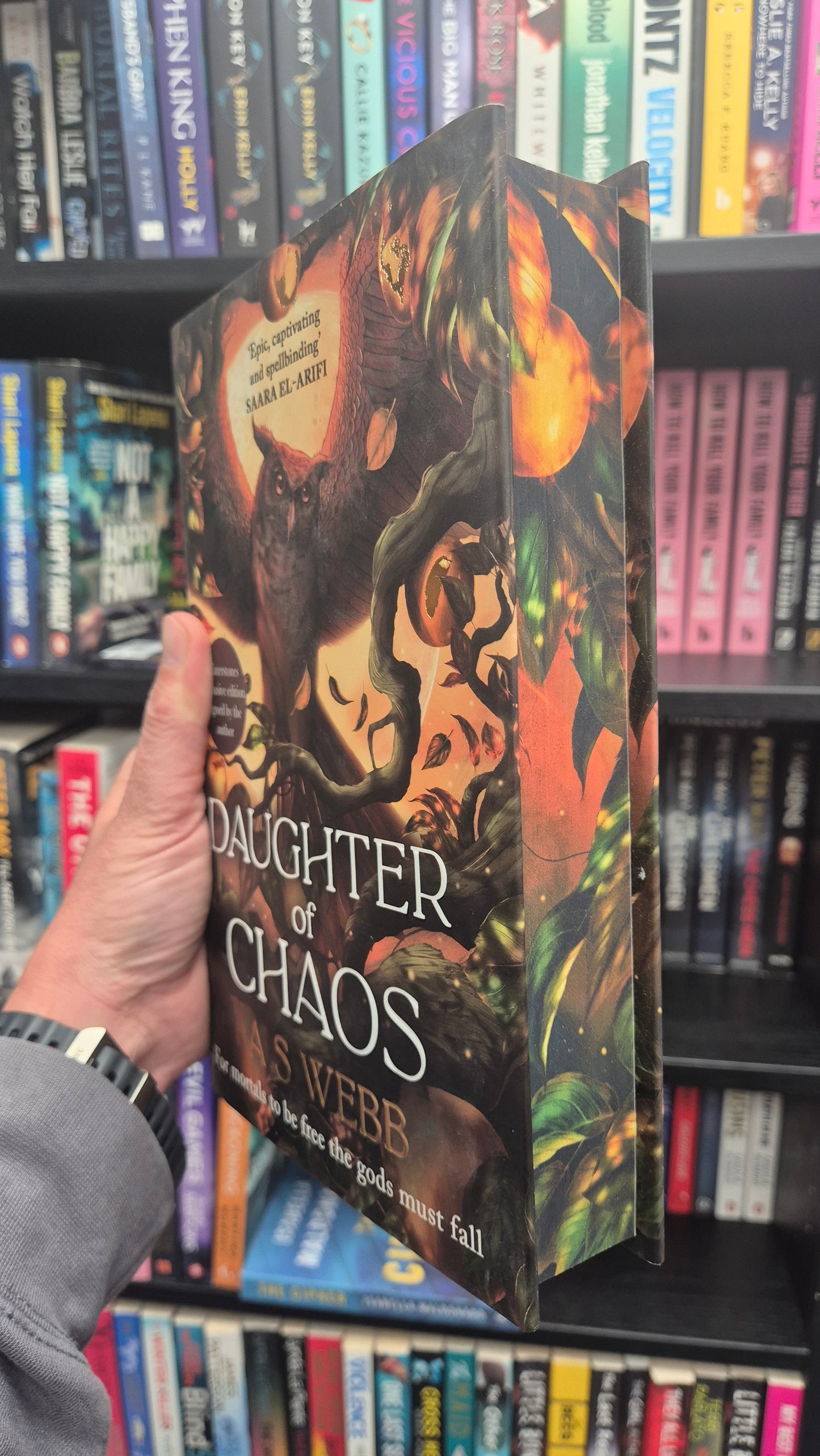Daughter Of Chaos - A S Webb