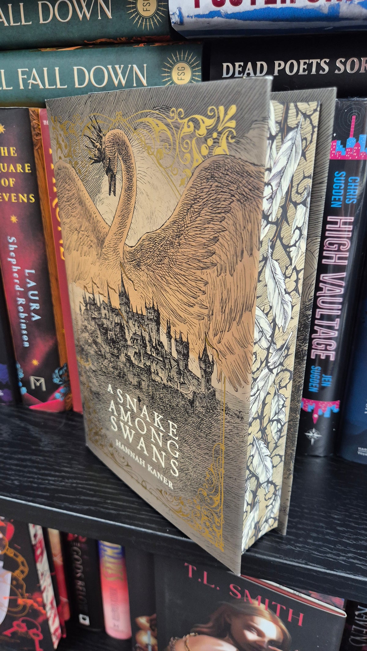 A Snake Among Swans | Hannah Kaner