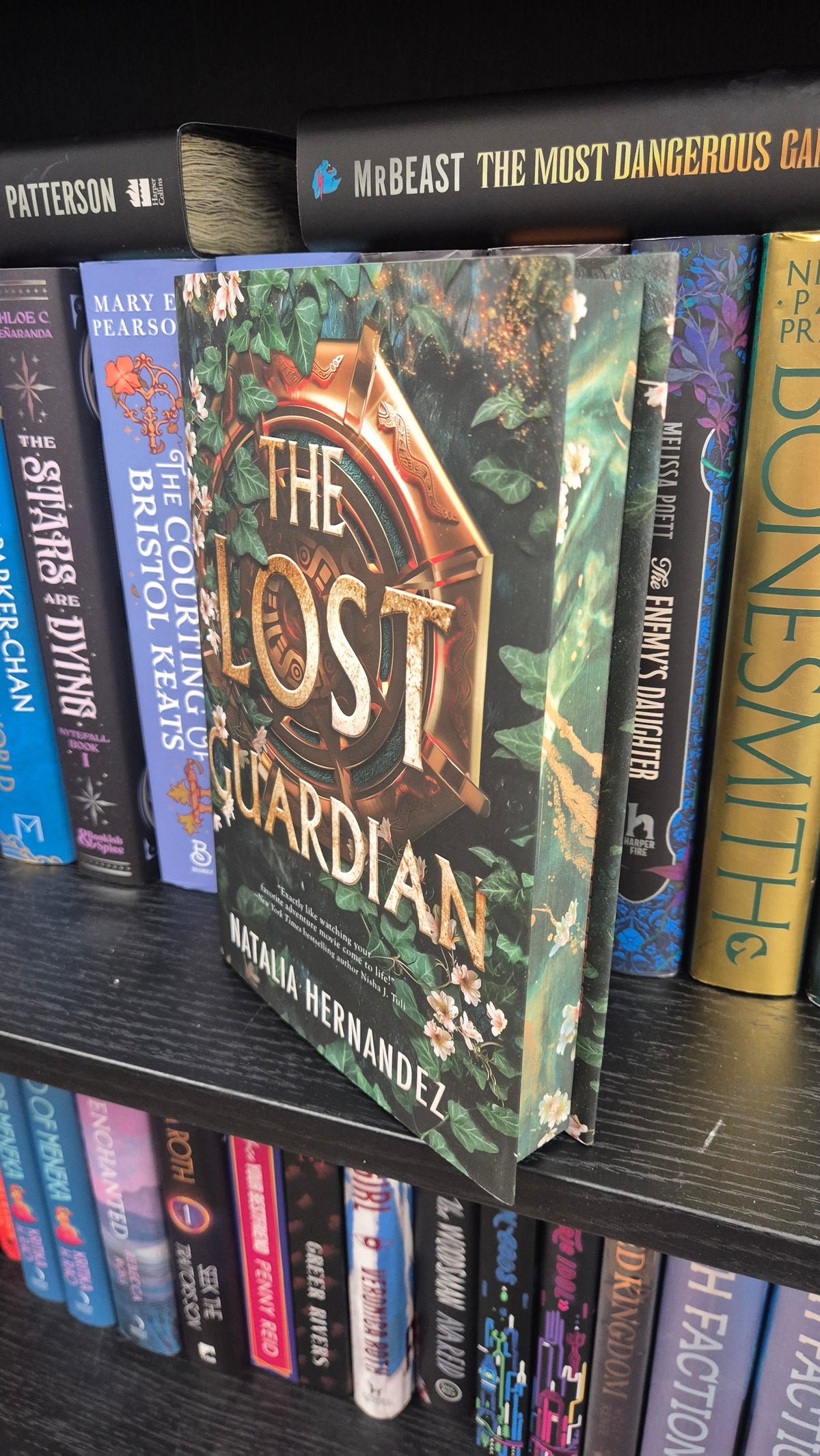 The Lost Guardian – Natalia Hernandez | US Deluxe Limited Edition Hardback | Illustrated Edges | Brand New