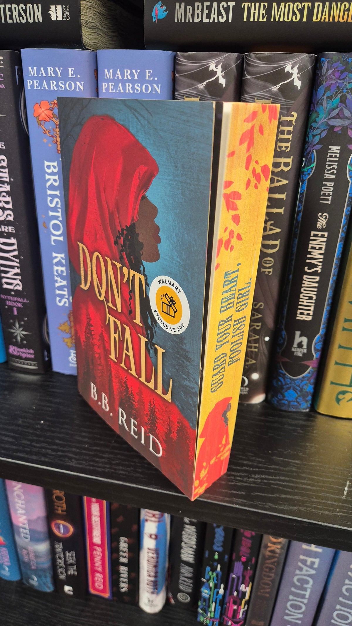 Don't Fall – B. B. Reid | Walmart Exclusive US Paperback | Illustrated Edges | Brand New