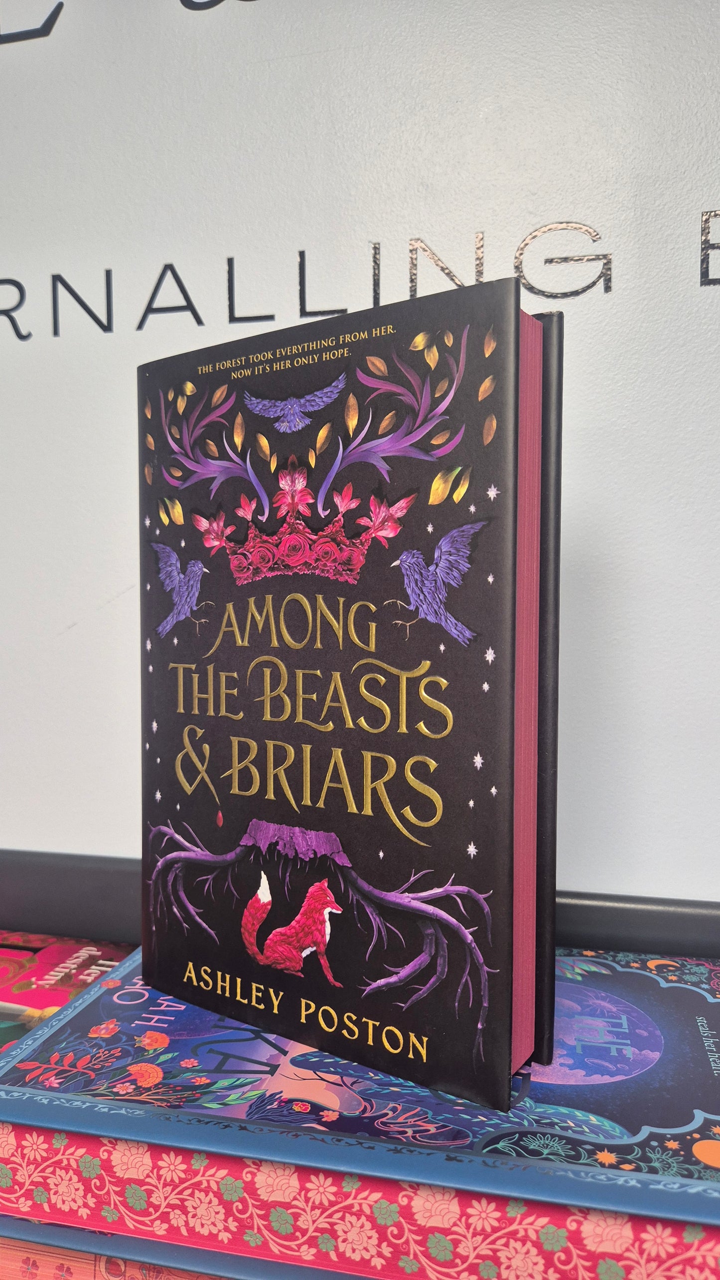 Among The Beasts & Briars