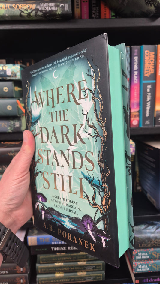 Where The Dark Stands Still - A B Poranek