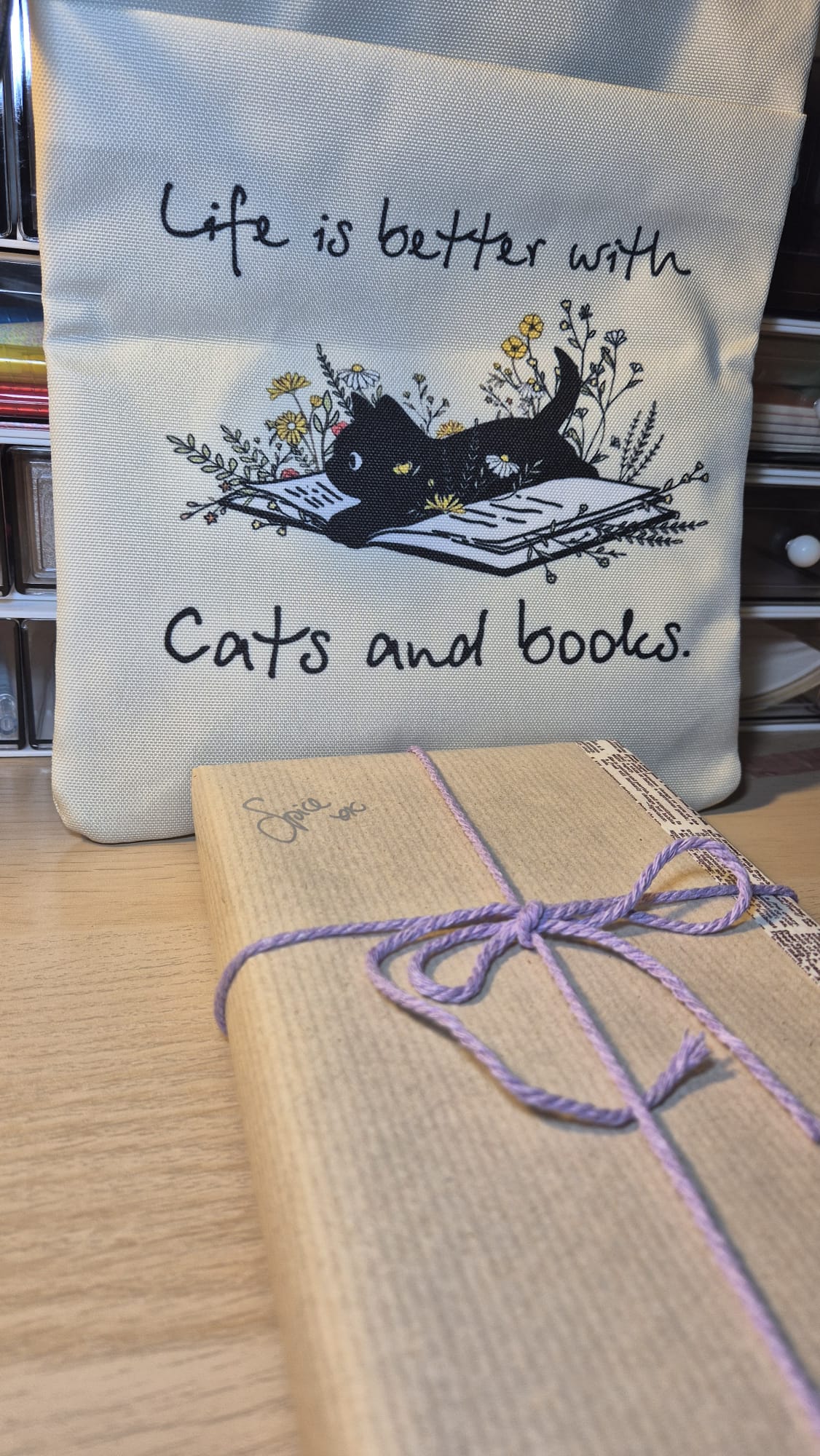 Book Sleeve Bundle - Cat Theme