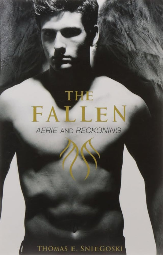 Aerie: Reckoning cover image