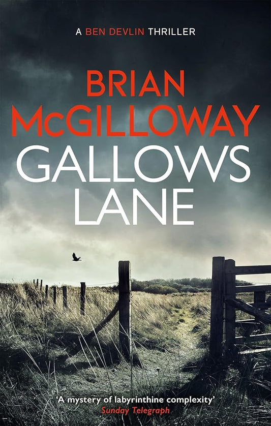 Gallows Lane: An ex con and drug violence collide in the borderlands of Ireland... cover image