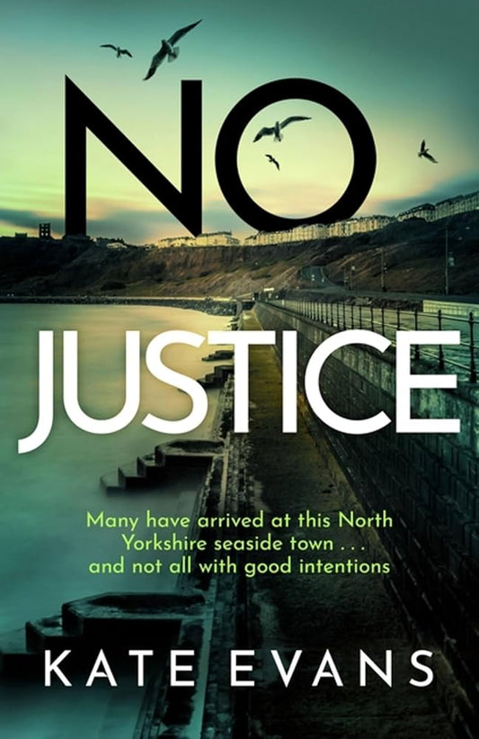 No Justice (DC Donna Morris) cover image