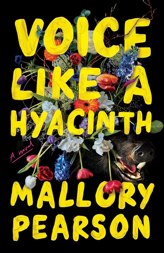 Voice Like a Hyacinth: A Novel cover image