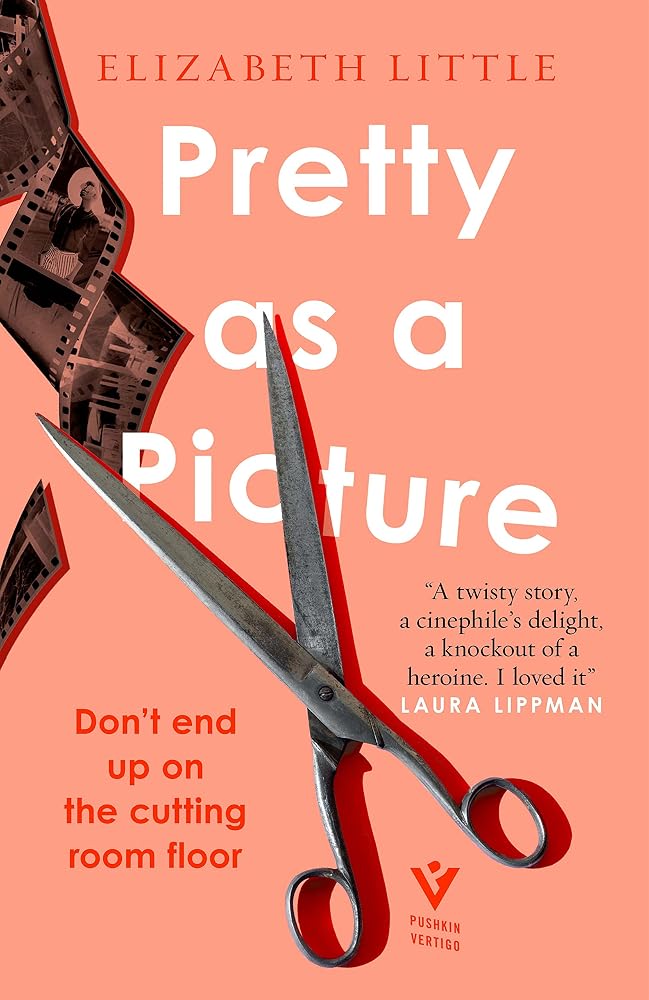 Pretty as a Picture: a twisty Hollywood thriller, ‘brilliantly toxic’ RUTH WARE, bestselling author of The Woman in Cabin 10 cover image