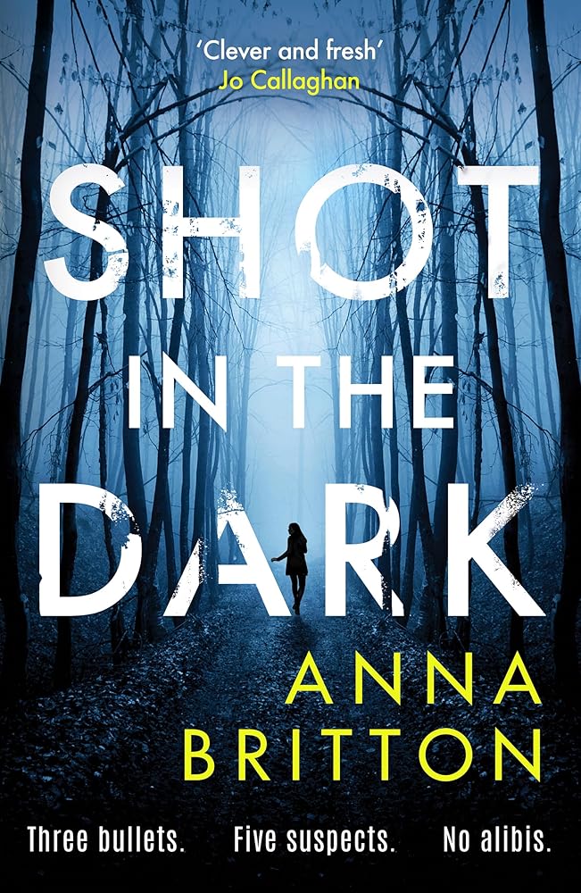 Shot in the Dark (Detectives Martin & Stern) cover image