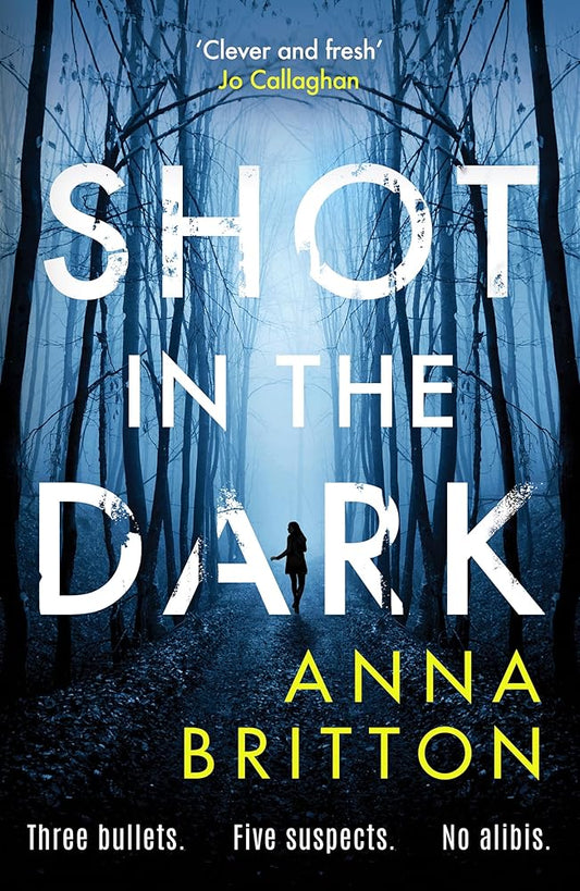 Shot in the Dark (Detectives Martin & Stern) cover image