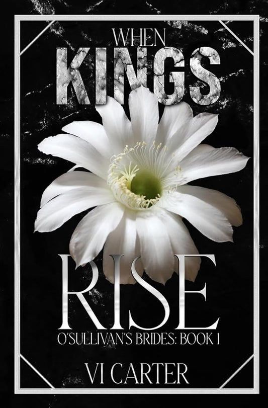 When Kings Rise (DISCREET COVER) cover image