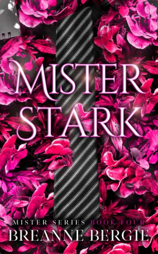 Mister Stark: A Billionaire Age Gap Enemies to Lovers Pregnancy Romance (Mister Series Book 4) cover image