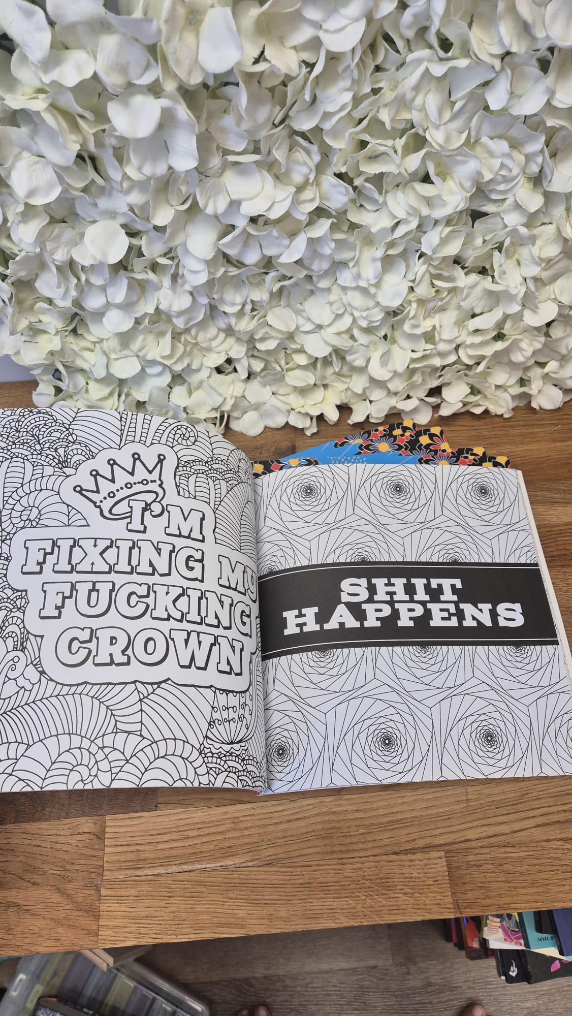 Adult Colouring Book + 4 Acrylic Markers Cozy Colouring Bookish Books