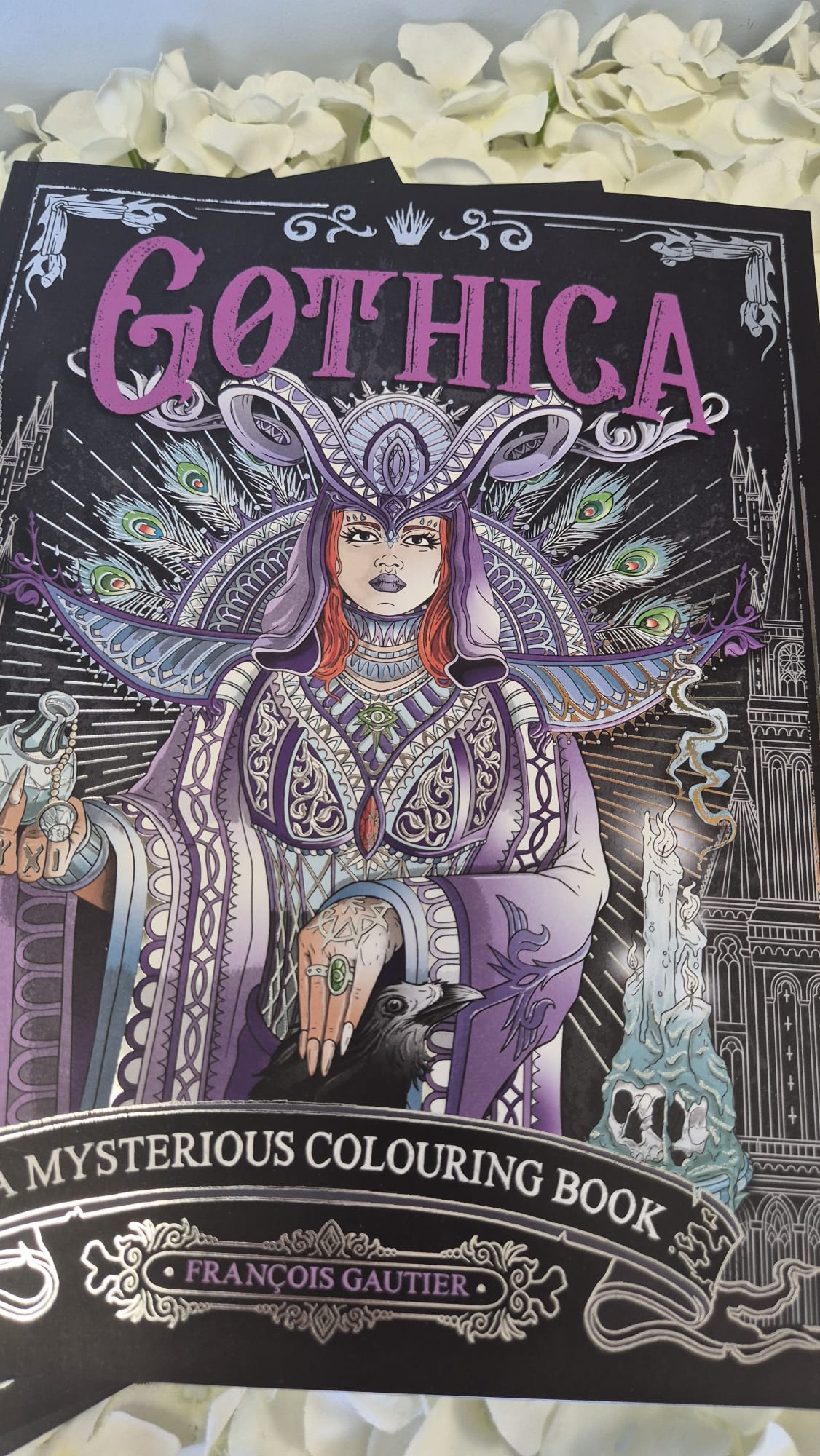 Gothic Colouring Book + 4 Acrylic Markers Cozy Colouring Bookish Books