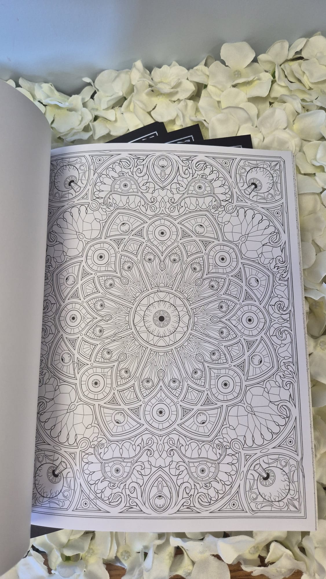 Gothic Colouring Book + 4 Acrylic Markers Cozy Colouring Bookish Books