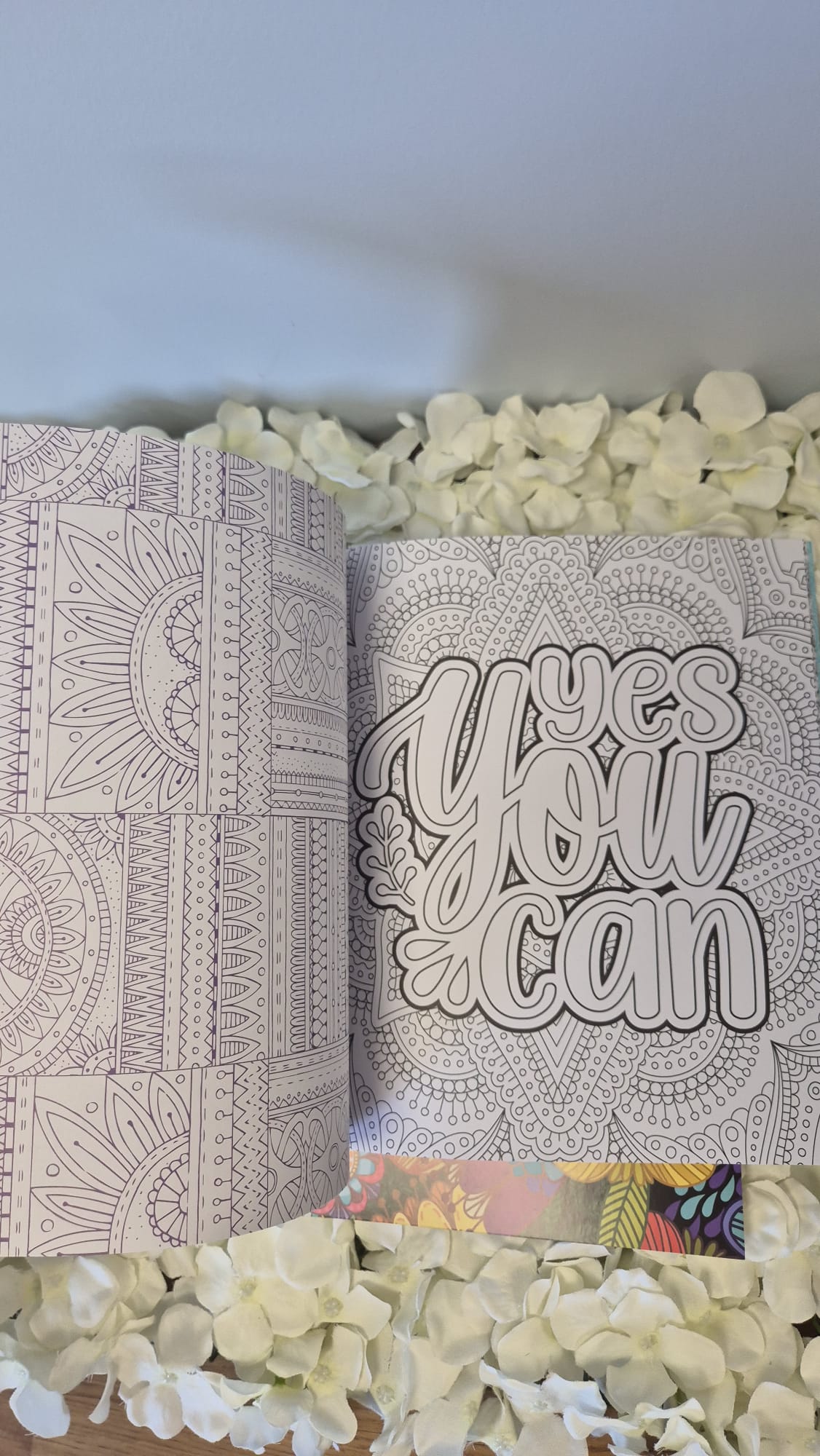 Manifestation Colouring Book + 4 Acrylic Markers Cozy Colouring Bookish Books