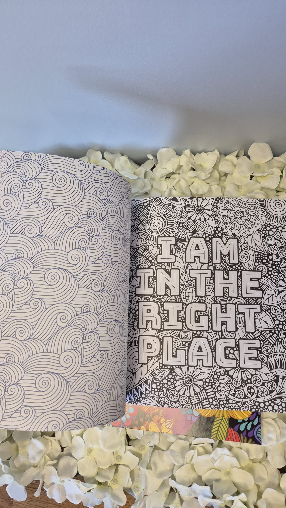 Manifestation Colouring Book + 4 Acrylic Markers Cozy Colouring Bookish Books