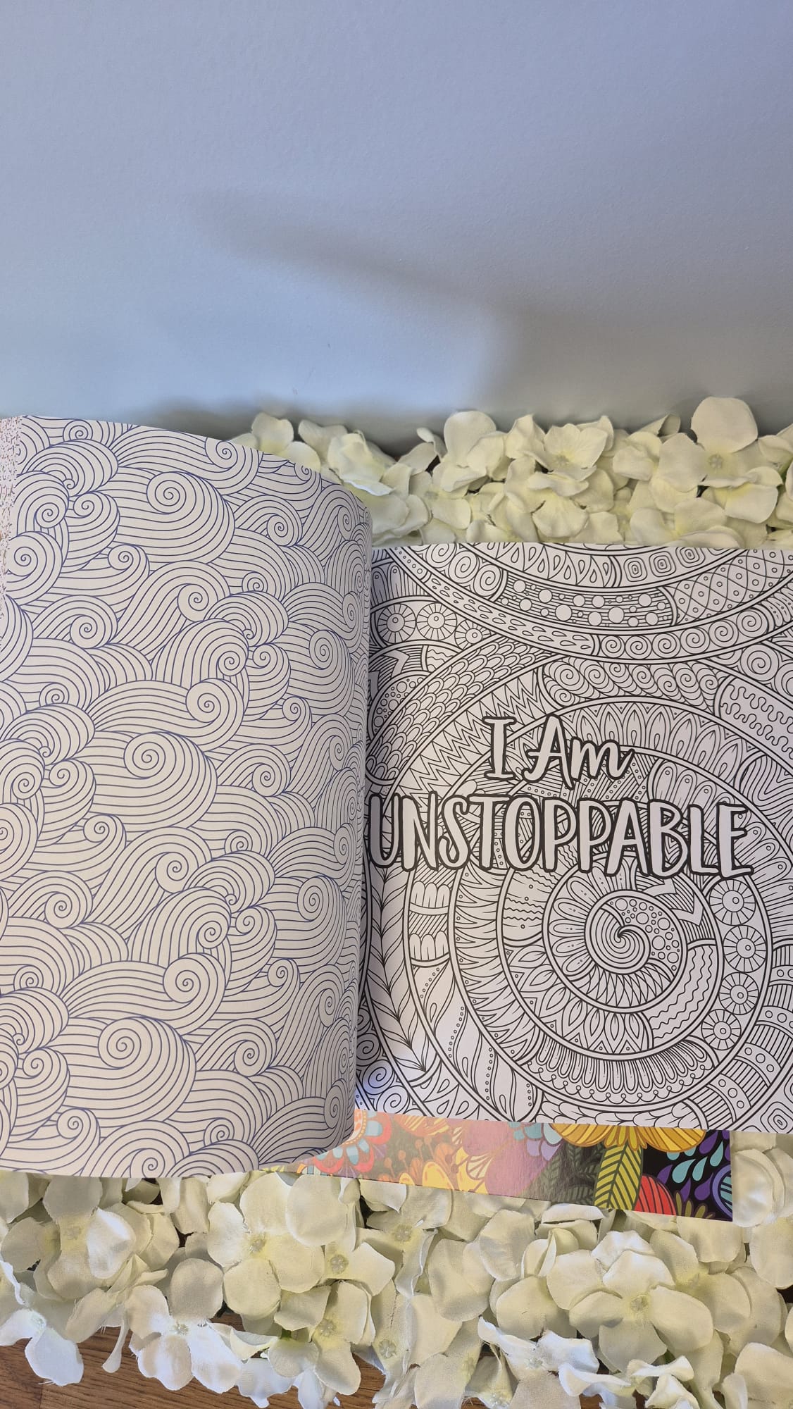 Manifestation Colouring Book + 4 Acrylic Markers Cozy Colouring Bookish Books