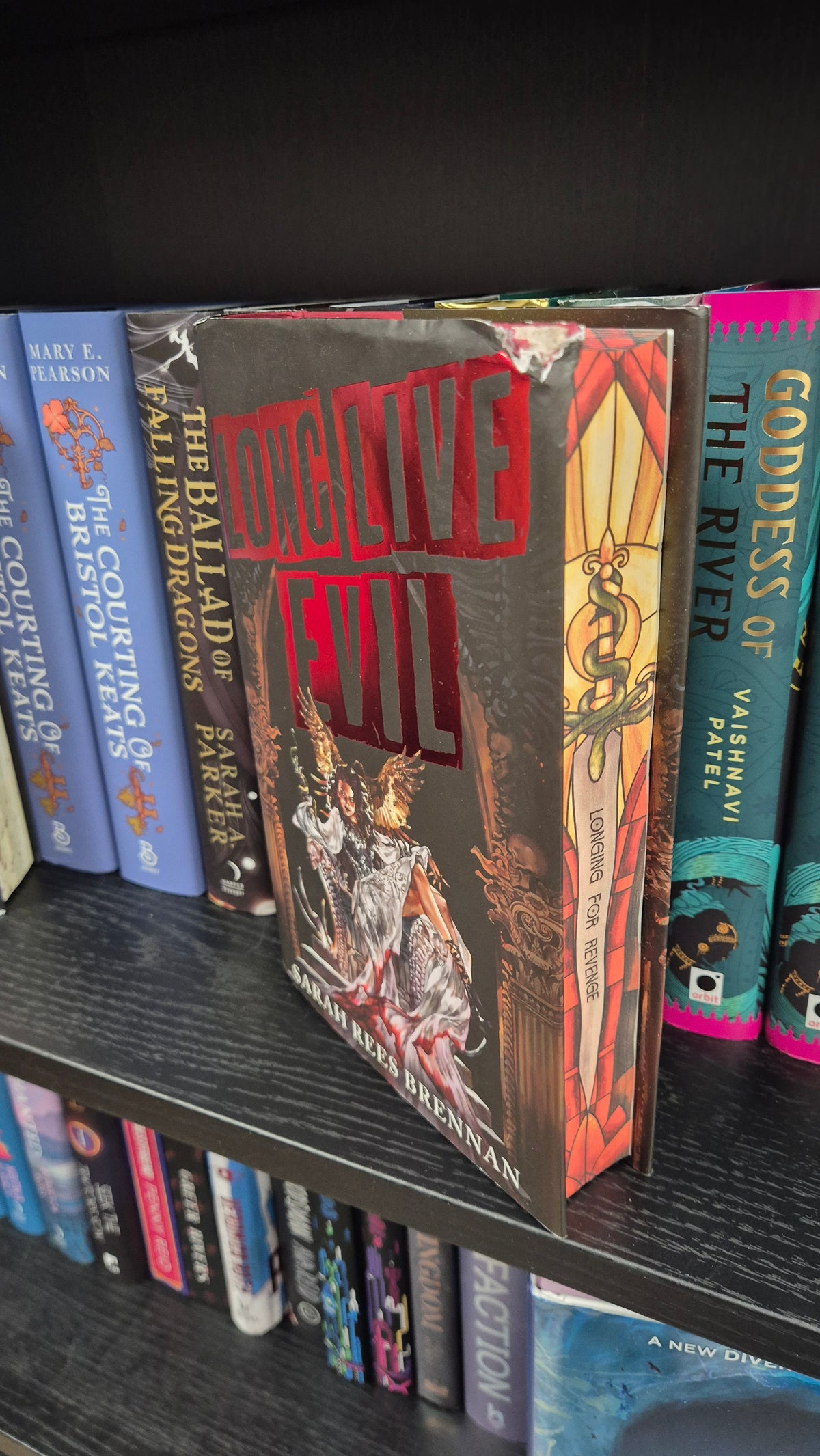 Long Live Evil | Sarah Reese Brennan | Damaged In Transit