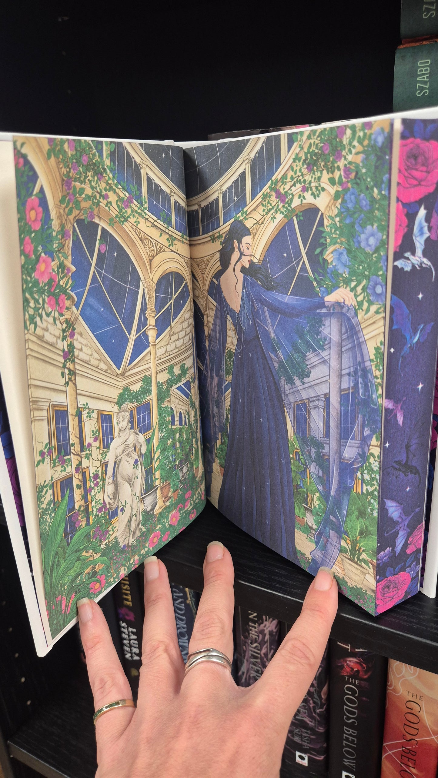 A Curse of Love | Elizabeth Stoltz