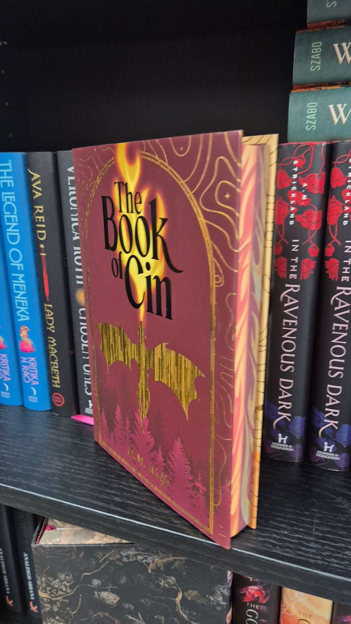 The Book Of Cin | H.M Wolfe