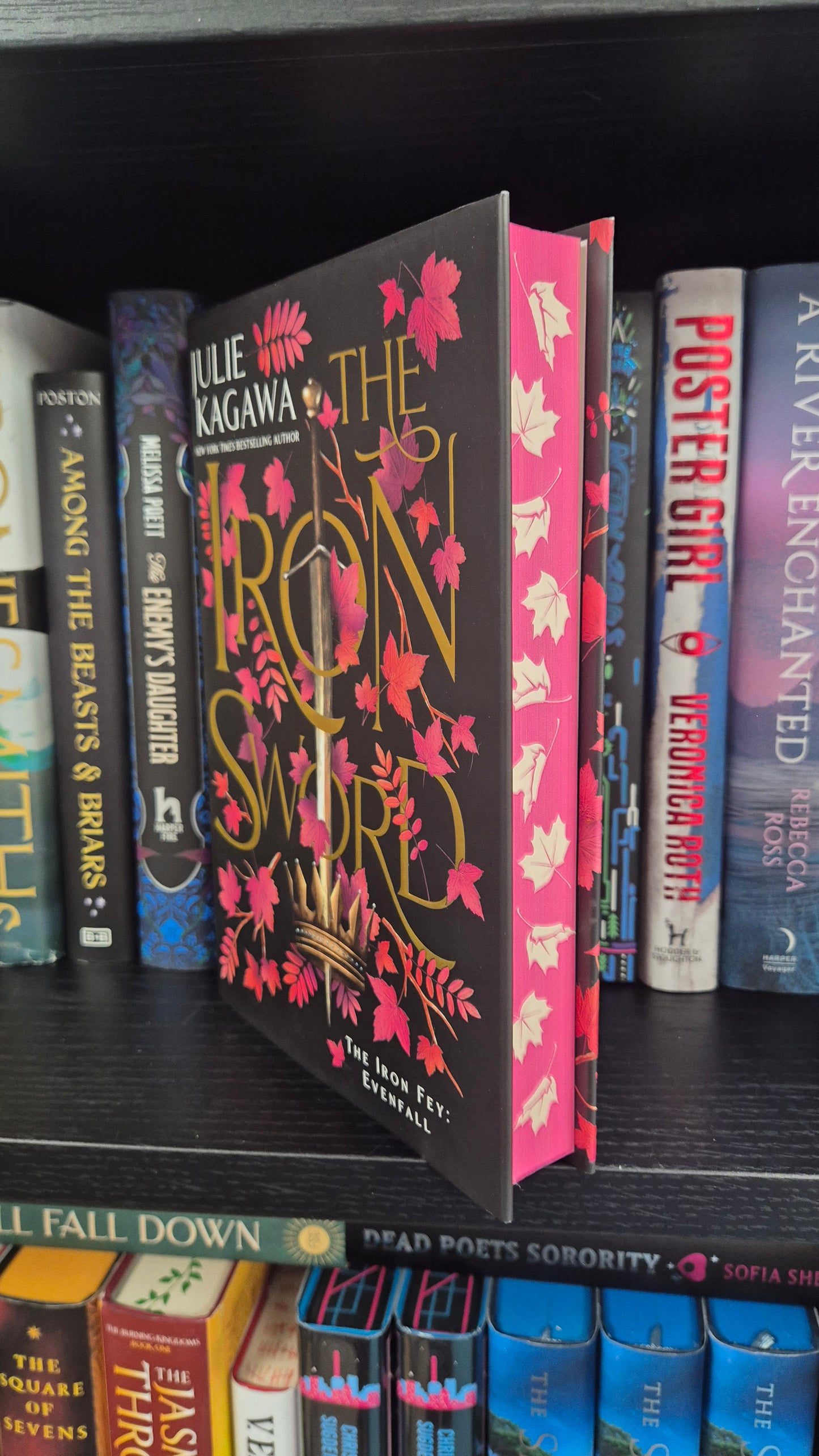 The Iron Sword | Julie Kagawa