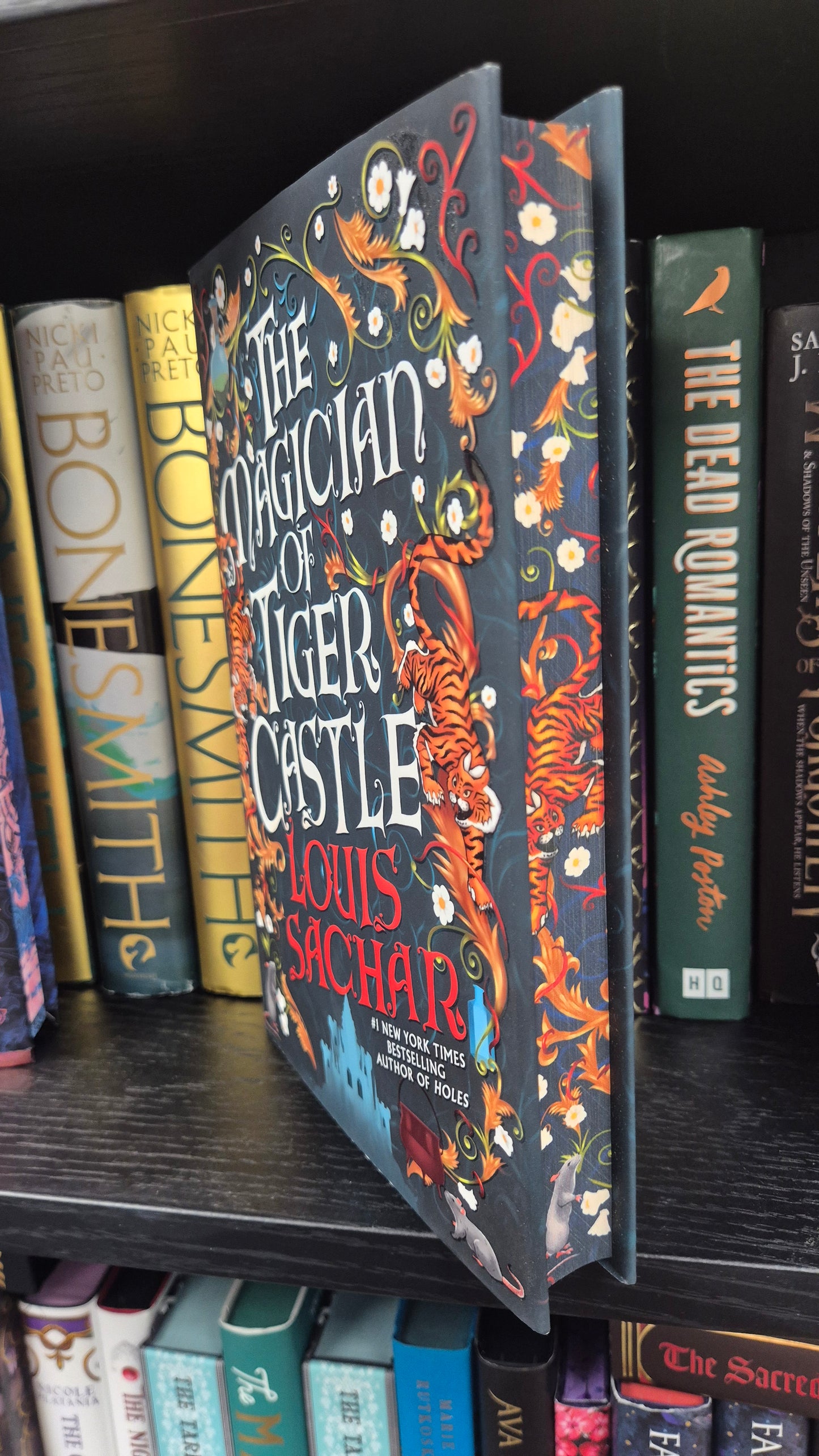The Magician of Tiger Castle | Louis Sachar