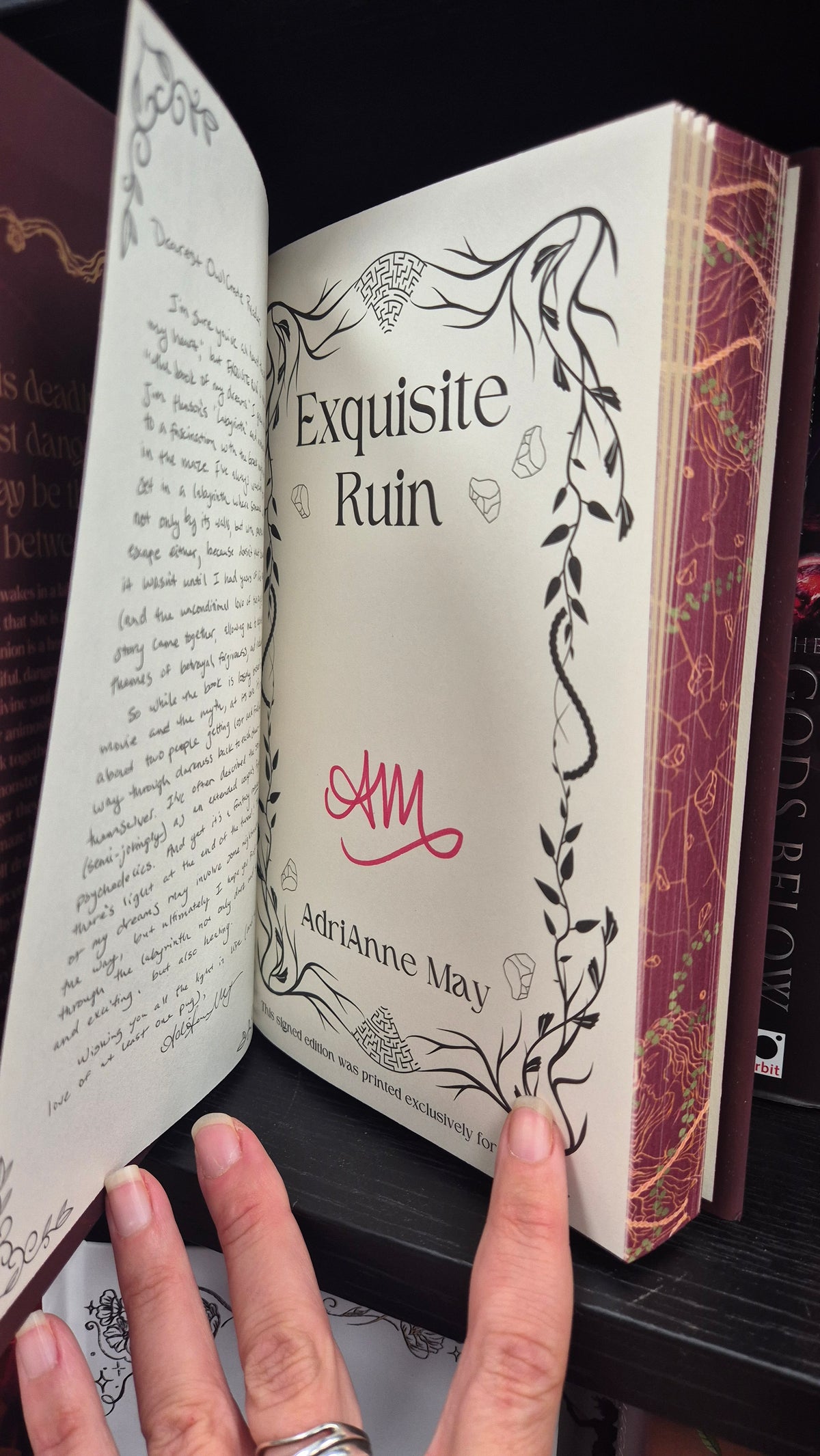 Exquisite Ruin by AdriAnne May | SIGNED OwlCrate Exclusive Edition | Sprayed Edges | Dark Romantasy