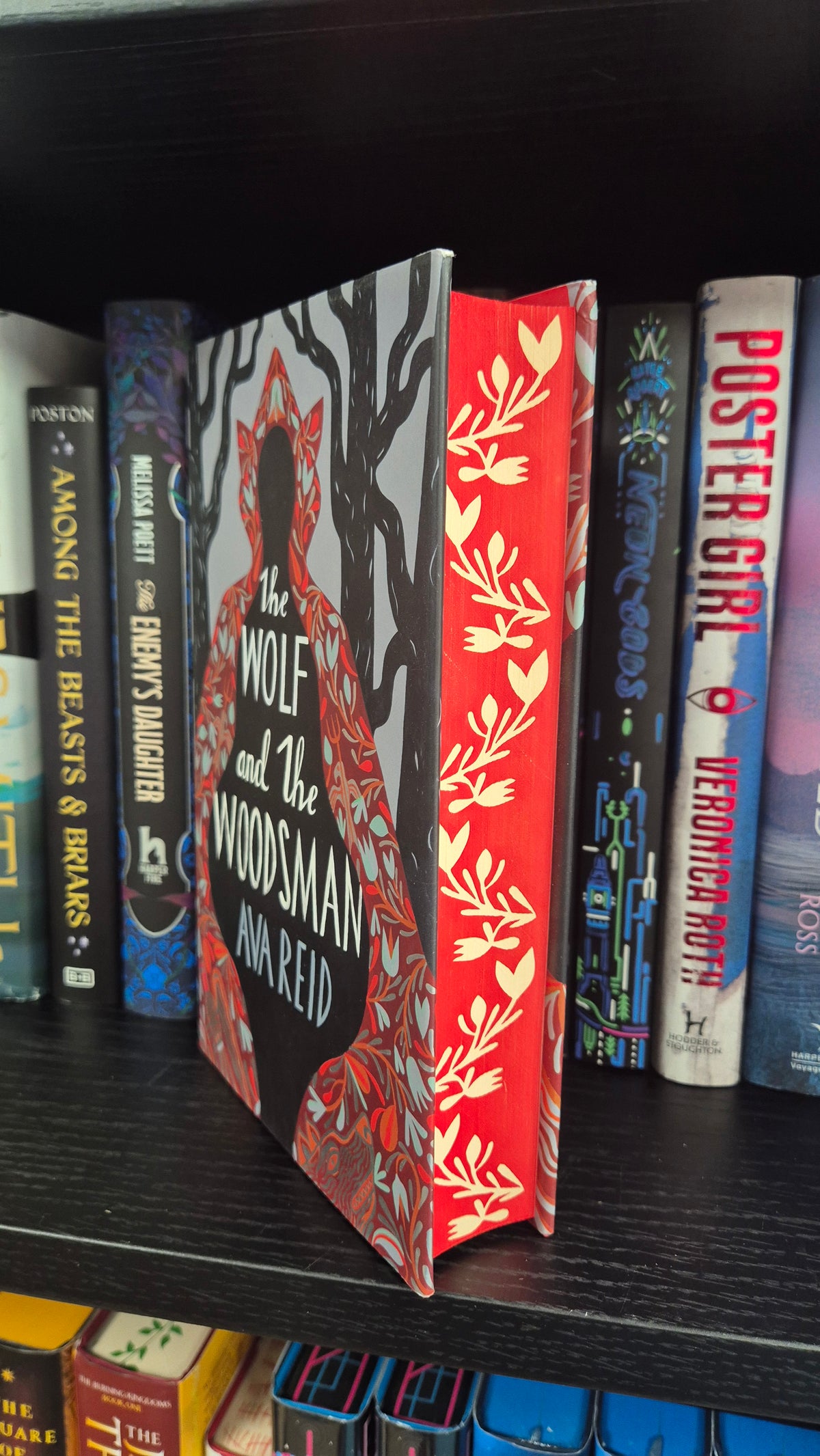 The Wolf and The Woodsman | Ava Reid