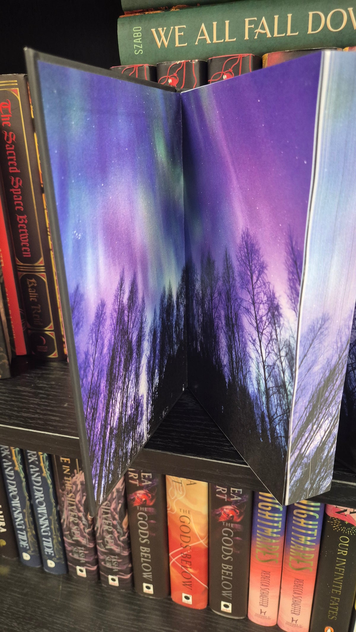 The Silvia Saga Omnibus by Jenna Lee | Special Edition | Sprayed Edges | Why Choose Romantasy