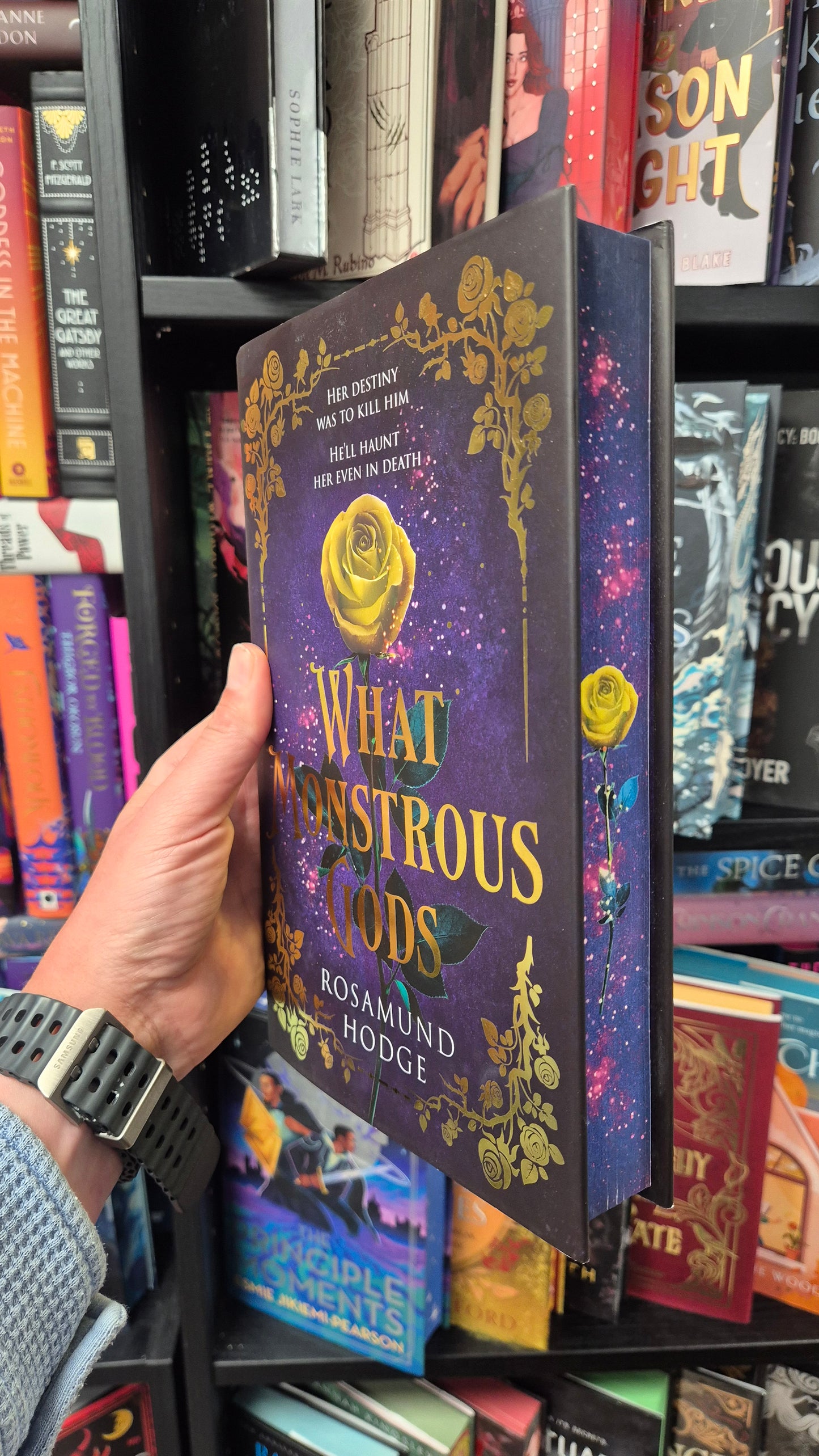 What Monstrous Gods - Rosamund Hodge