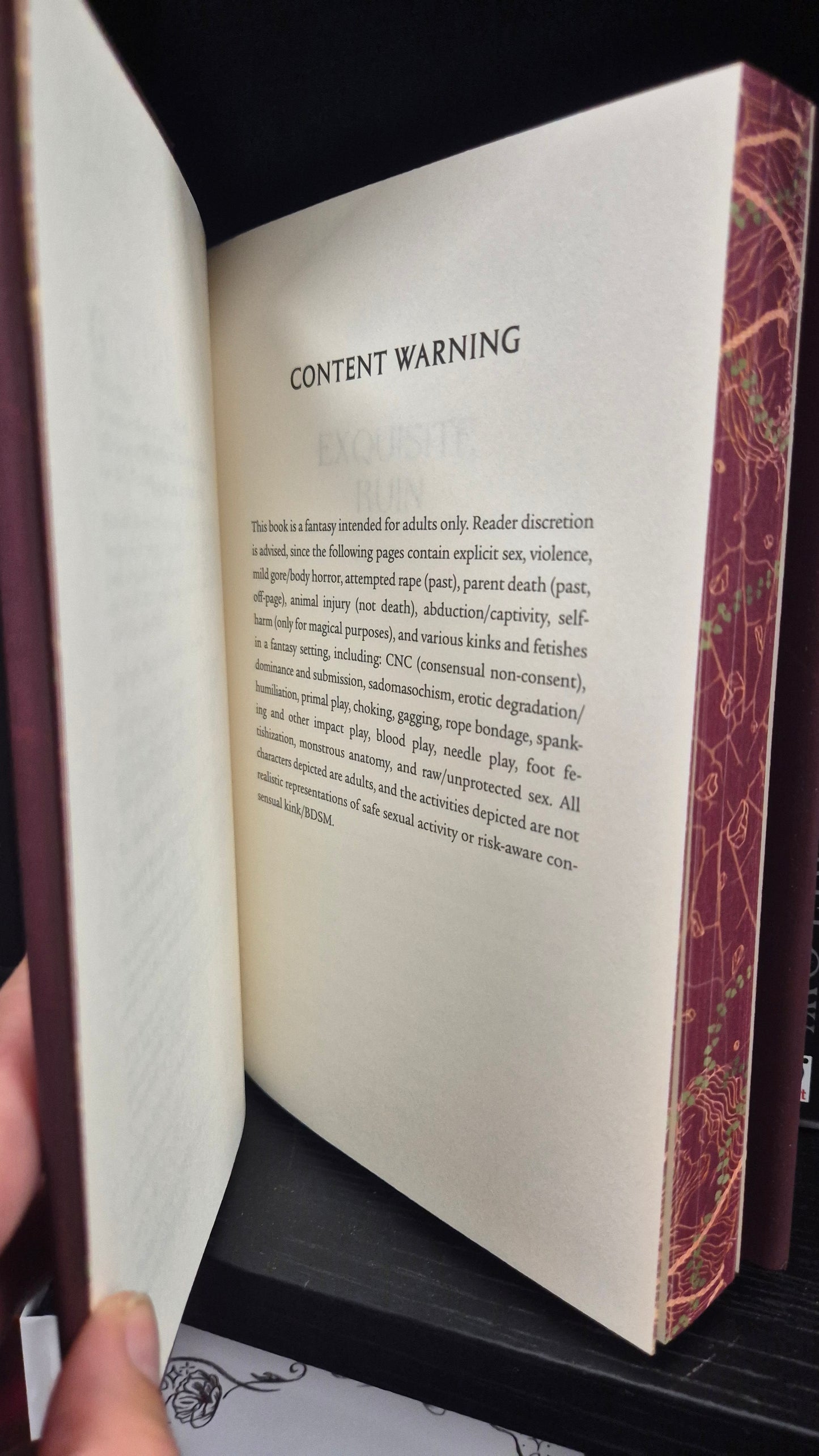 Exquisite Ruin by AdriAnne May | SIGNED OwlCrate Exclusive Edition | Sprayed Edges | Dark Romantasy