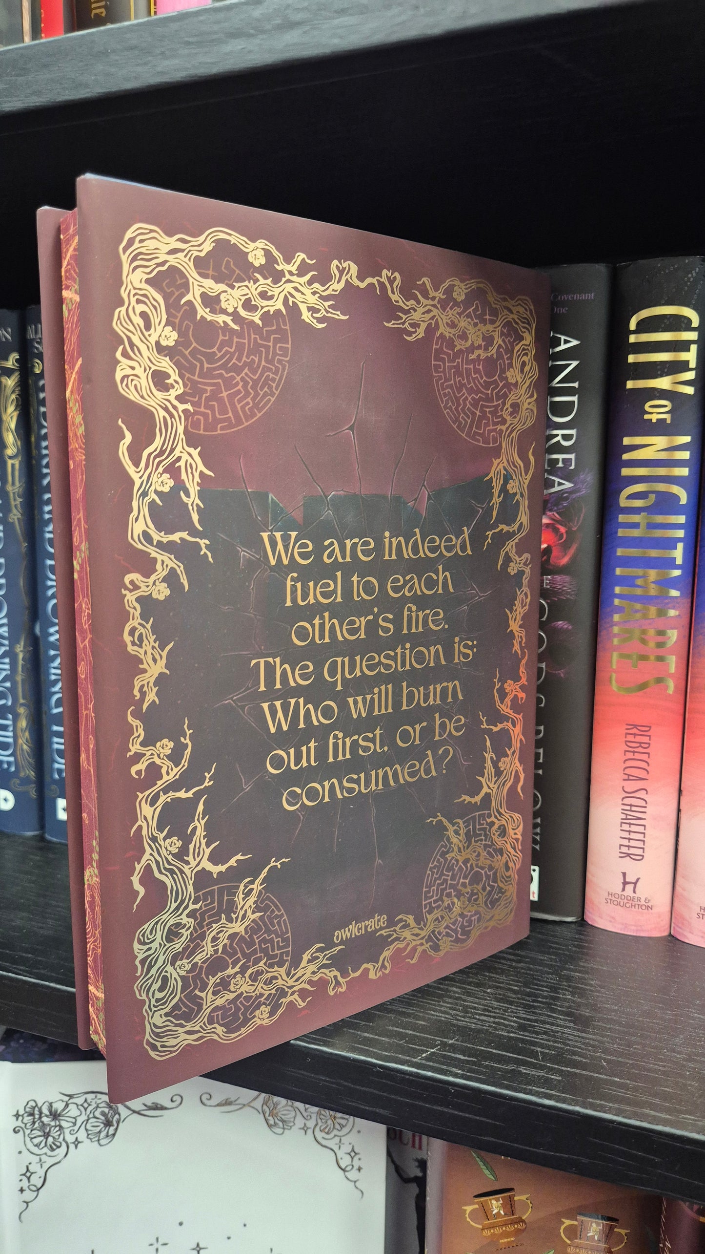 Exquisite Ruin by AdriAnne May | SIGNED OwlCrate Exclusive Edition | Sprayed Edges | Dark Romantasy