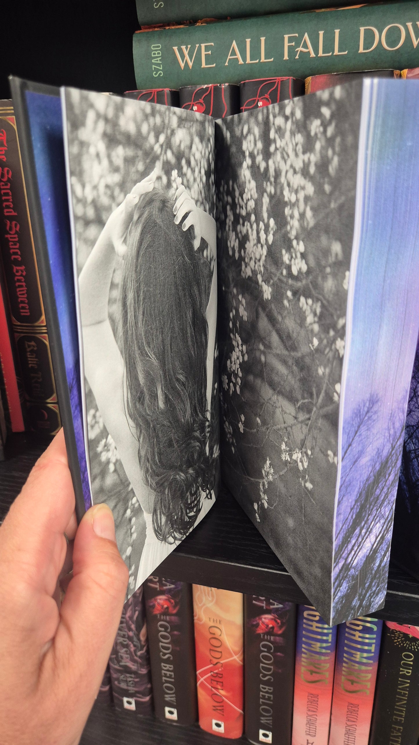The Silvia Saga Omnibus by Jenna Lee | Special Edition | Sprayed Edges | Why Choose Romantasy
