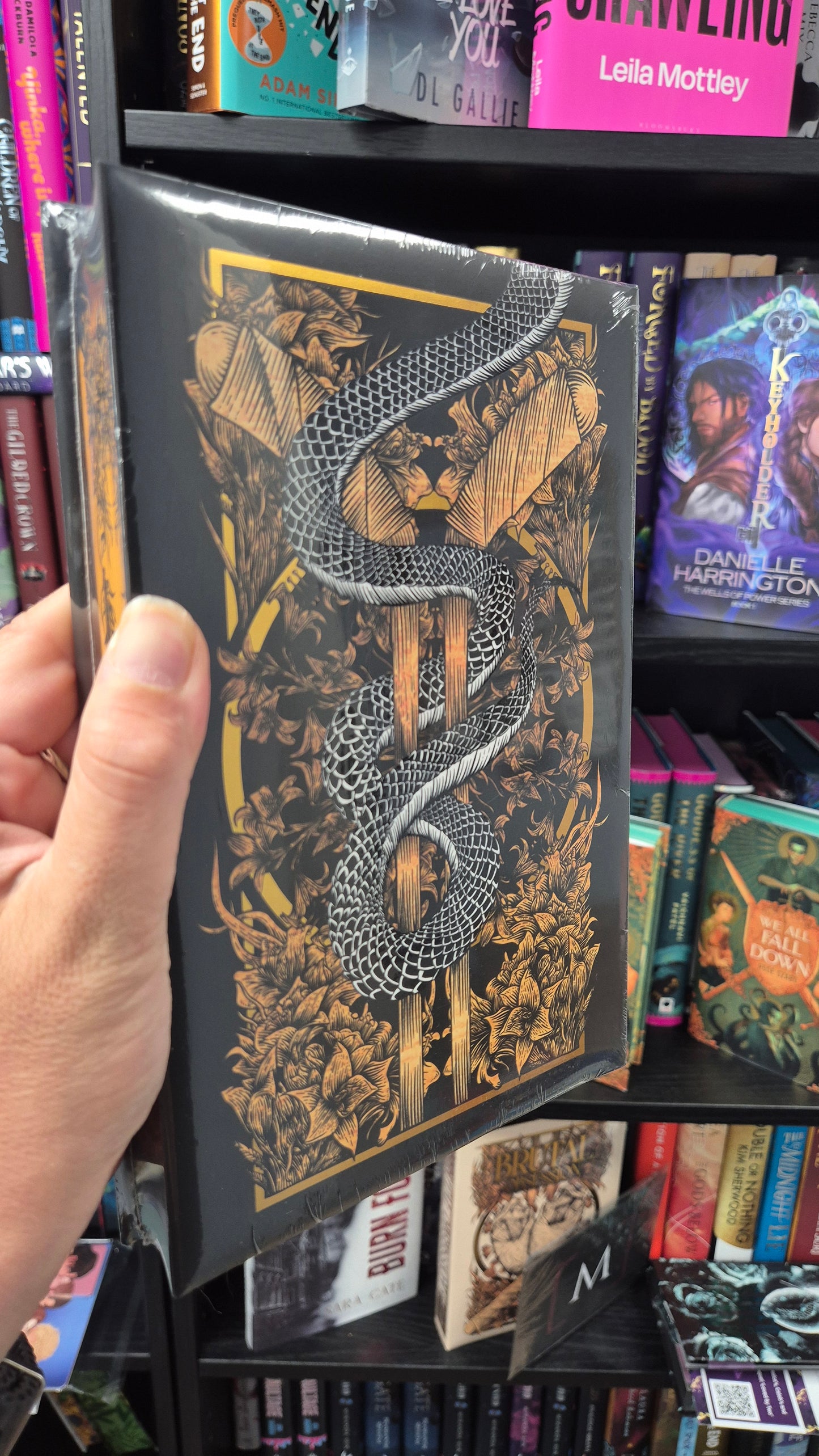 Devious Obsession - S Massery