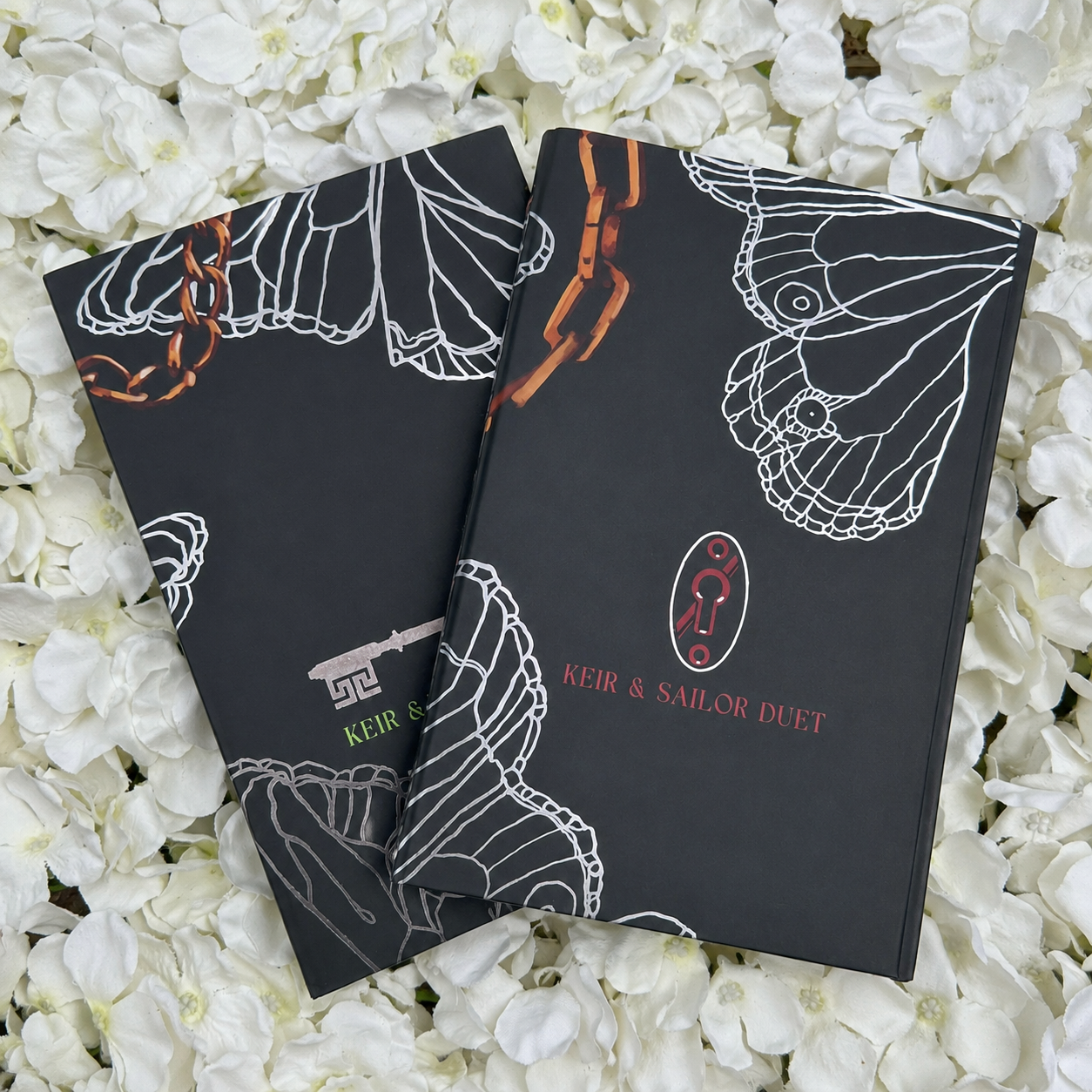 Chained Hands | Locked Hearts | T L Smith | Mystic Box Editions